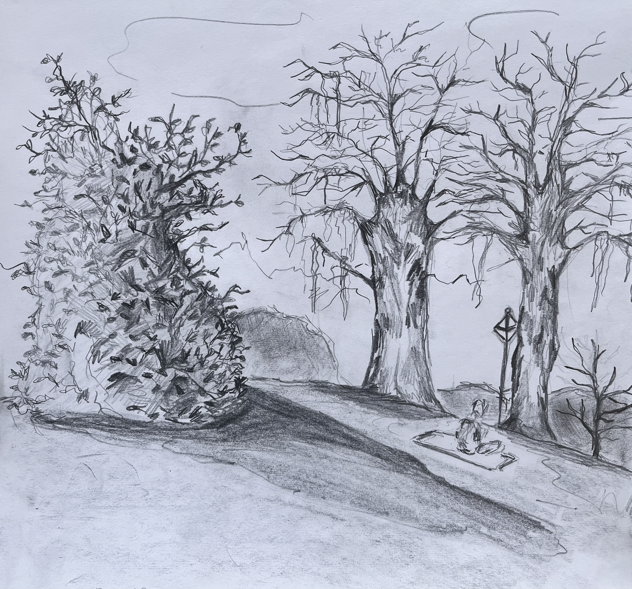 A pencil sketch of a park scene with leafless trees, a person sitting on a blanket, a street lamp, and some bushes in the background.