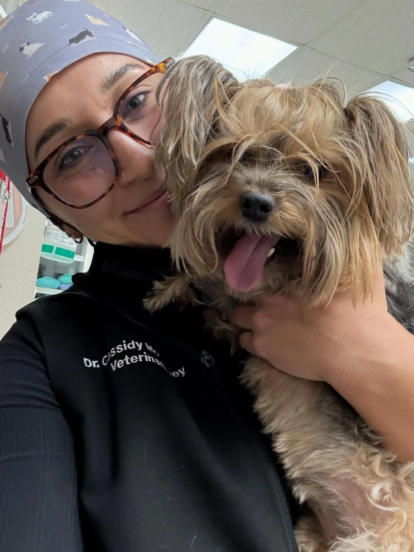 Had the BEST girls in for their dental cleanings today 🩷🎀 #veterinariansofinstagram #vetmed #dogsofinstagram