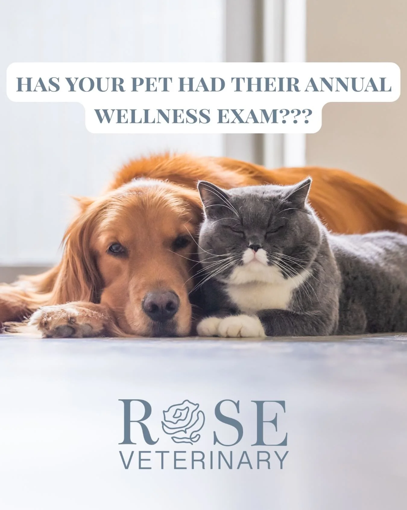 Did you know most health issues in pets are caught too late - simply because they seemed &ldquo;fine&rdquo;? 🐾

Animals are natural-born hiders of pain and illness. By the time symptoms show, a condition may already be progressed.

Preventative well