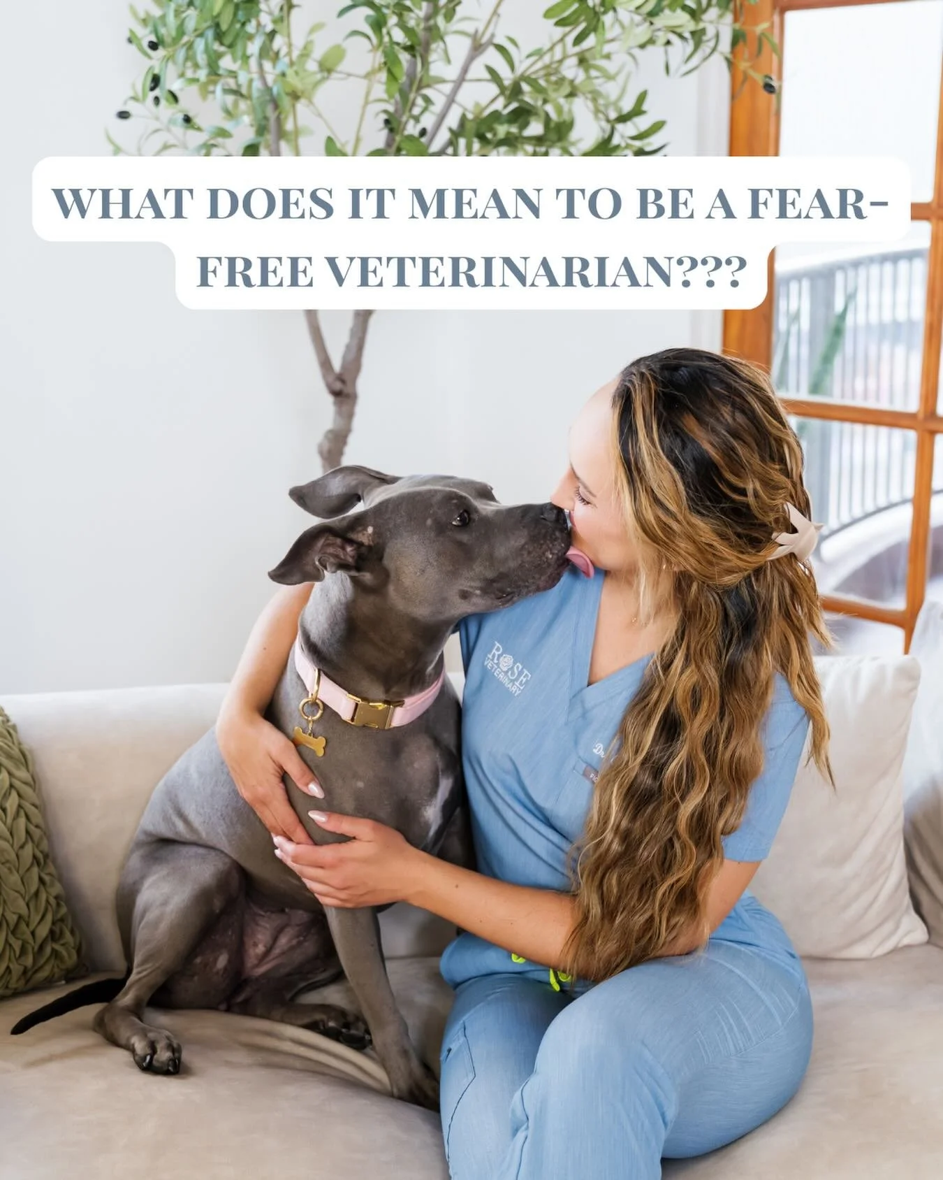 Did you know that for many pets, the car ride alone is enough to spike their anxiety before they even walk through the clinic door? 😟

That&rsquo;s one of the reasons I became a Fear Free Certified house call veterinarian.

Fear Free is an evidence-