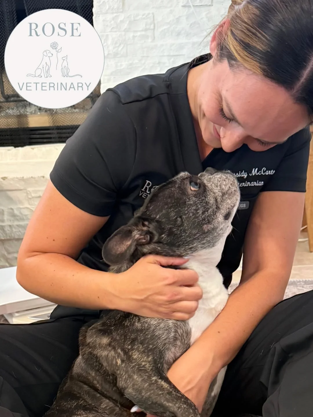 🌹 We&rsquo;re off to the BEST start! 

Our first couple of weeks at Rose Veterinary have been nothing short of amazing - and we are absolutely loving every single visit. 🐾🏡

We&rsquo;ve already met some seriously incredible pets, had some truly sp