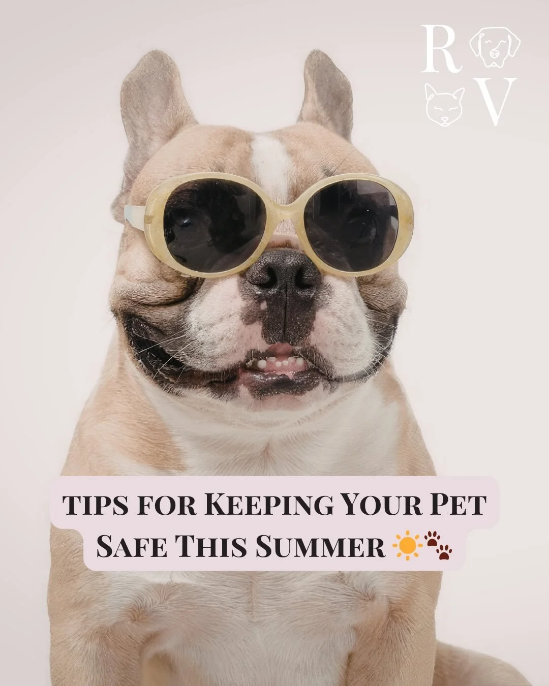 ☀️ Summer is here and the heat is no joke - especially for our pets! 🐾

Swipe for a few simple tips to keep your furry family members safe and cool this season 👉 Stay cool out there! 

👉 Visit our website to book an appointment ! (Link in bio)

#h