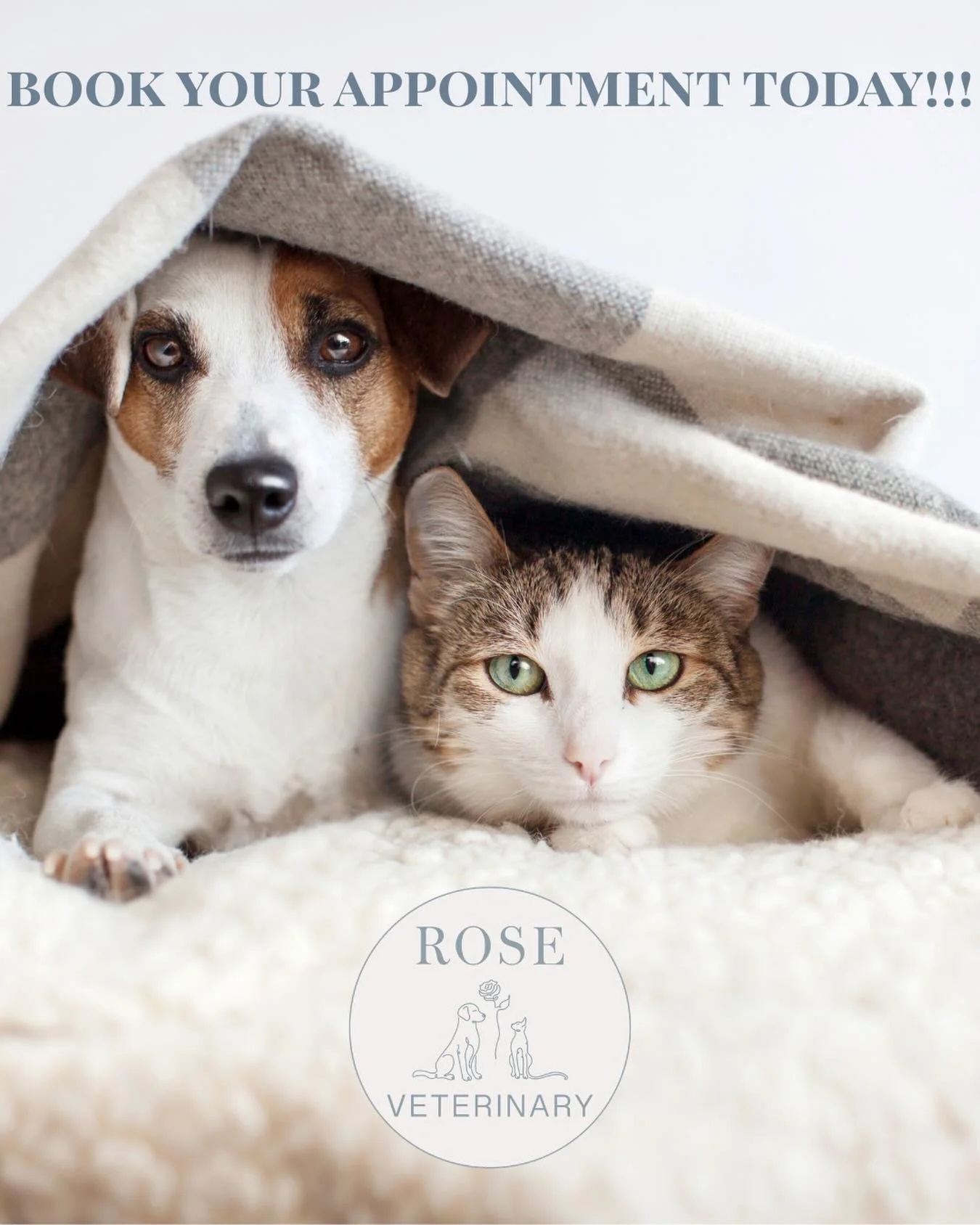 Your pet&rsquo;s health can&rsquo;t wait. 🌸 Whether it&rsquo;s a routine wellness exam, vaccines, or something that&rsquo;s been worrying you - we&rsquo;re here for it all. New patients are always welcome at Rose Veterinary! Booking is easy - visit 