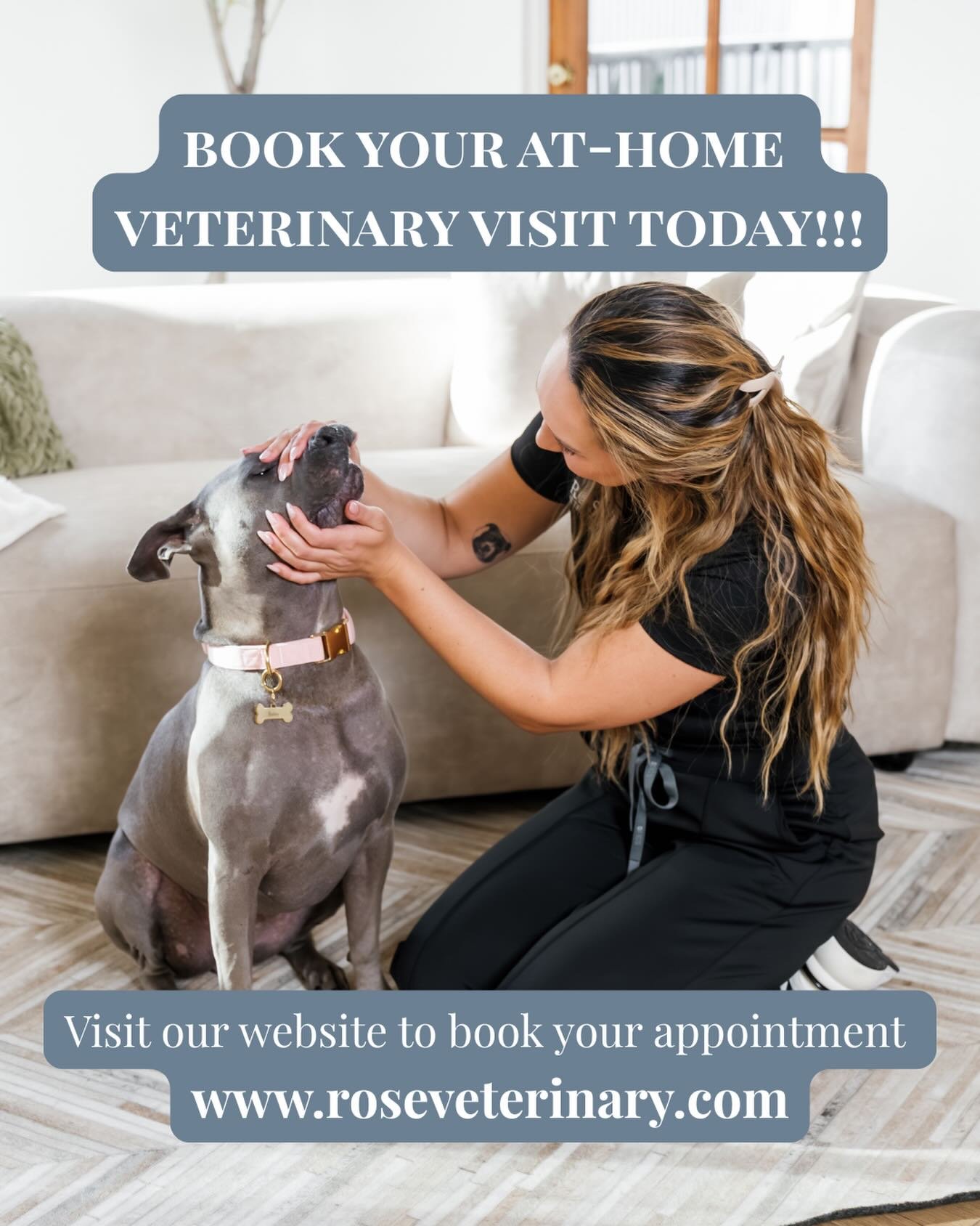 Your pet deserves care from the comfort of home - and we&rsquo;re here to make that happen! 🏡❤️

At Rose Veterinary, we bring the vet visit to you. Whether it&rsquo;s a wellness check, vaccinations, or just some extra TLC for your furry family membe