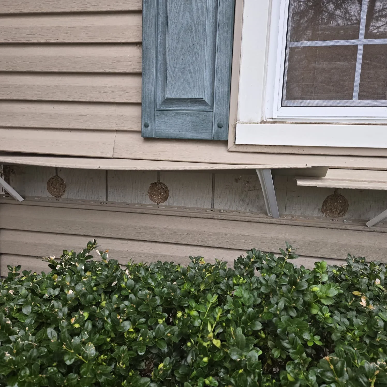 Side of a house with beige vinyl siding, a window with a white frame, insulating existing walls. injection insulation. drain and fill insulation. insulation without tearing wall down. 