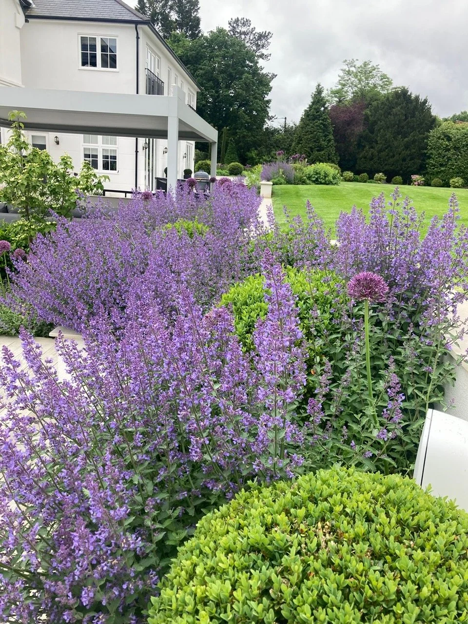 A lush garden outside a white house with purple flowers and a manicured lawn under a cloudy sky.