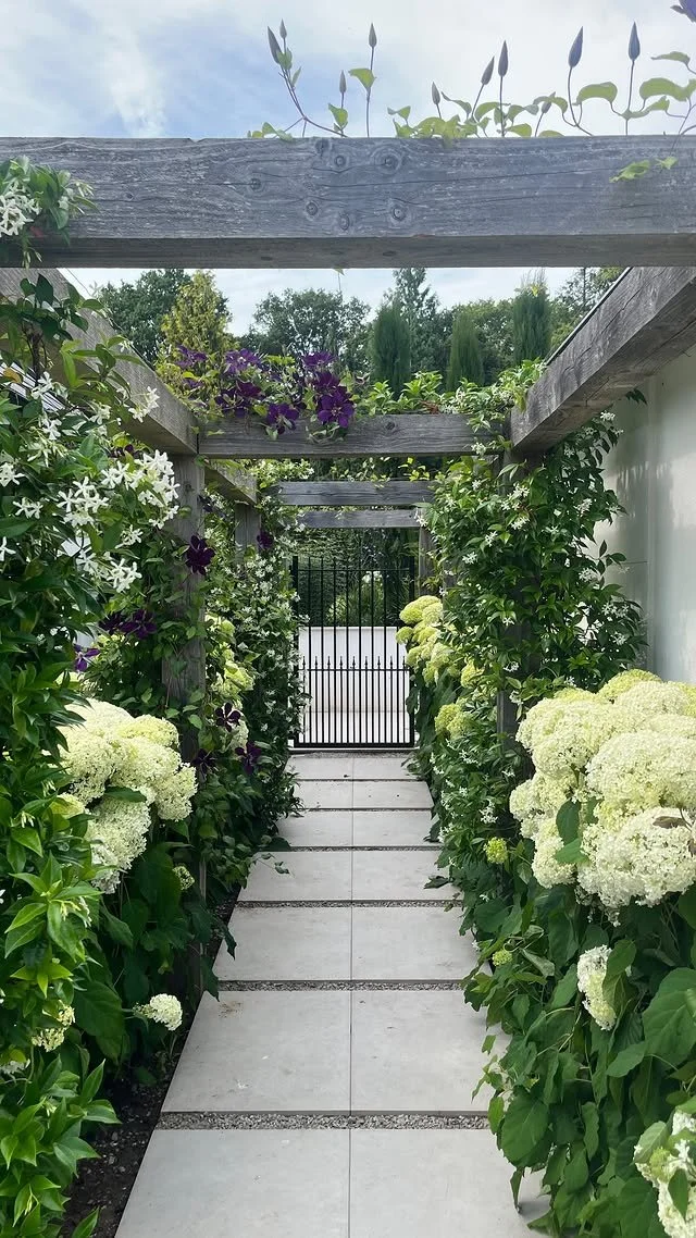 A grey garden pathway covered with wooden beams and lush green and white flowering plants on both sides, leading to a black metal gate.
