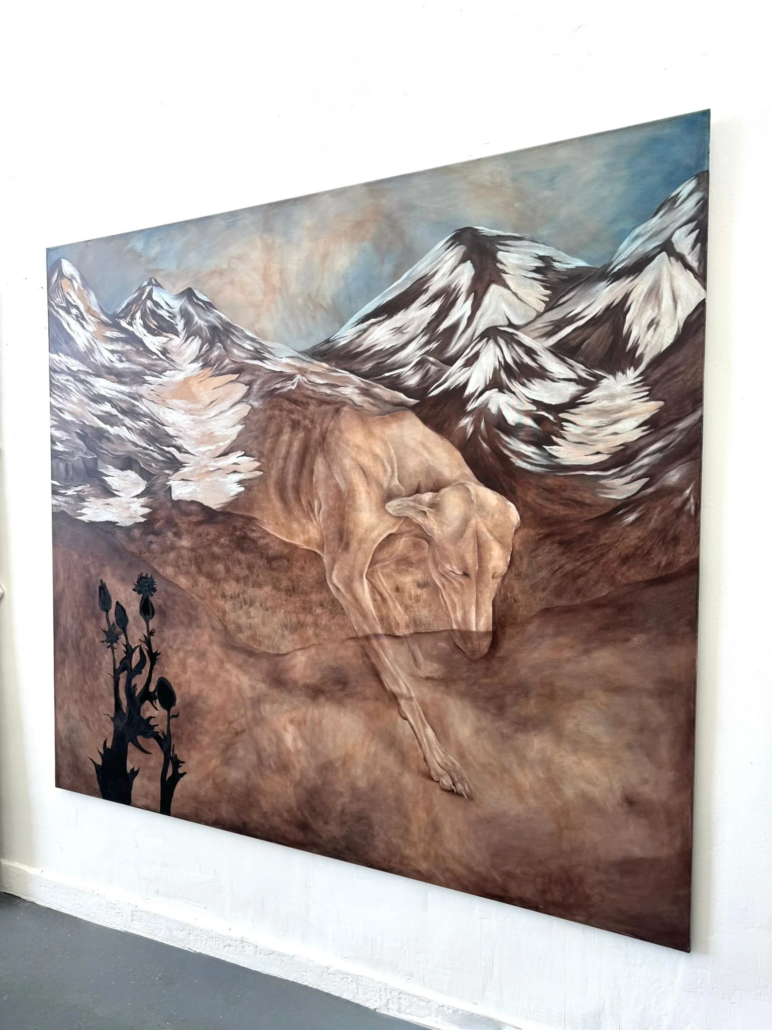 WhatsApp Image 2026-01-17 at 2.22.18 PM (1).jpeg