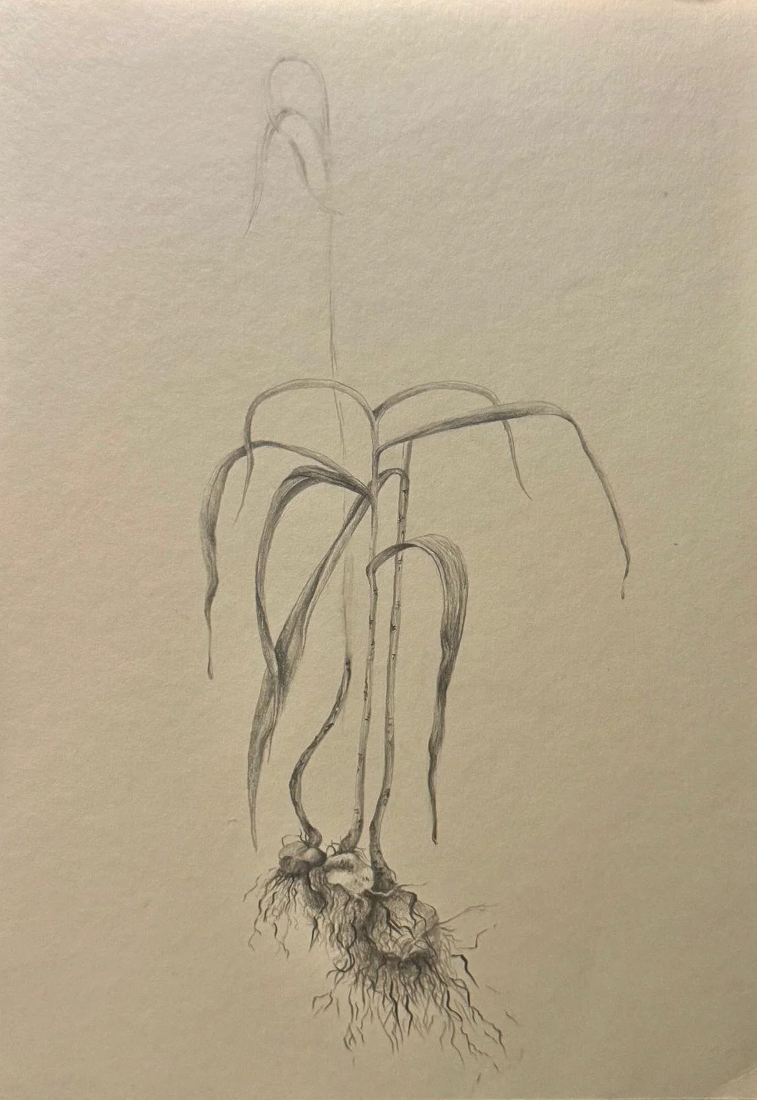 WhatsApp Image 2025-10-29 at 5.42.57 PM.jpeg