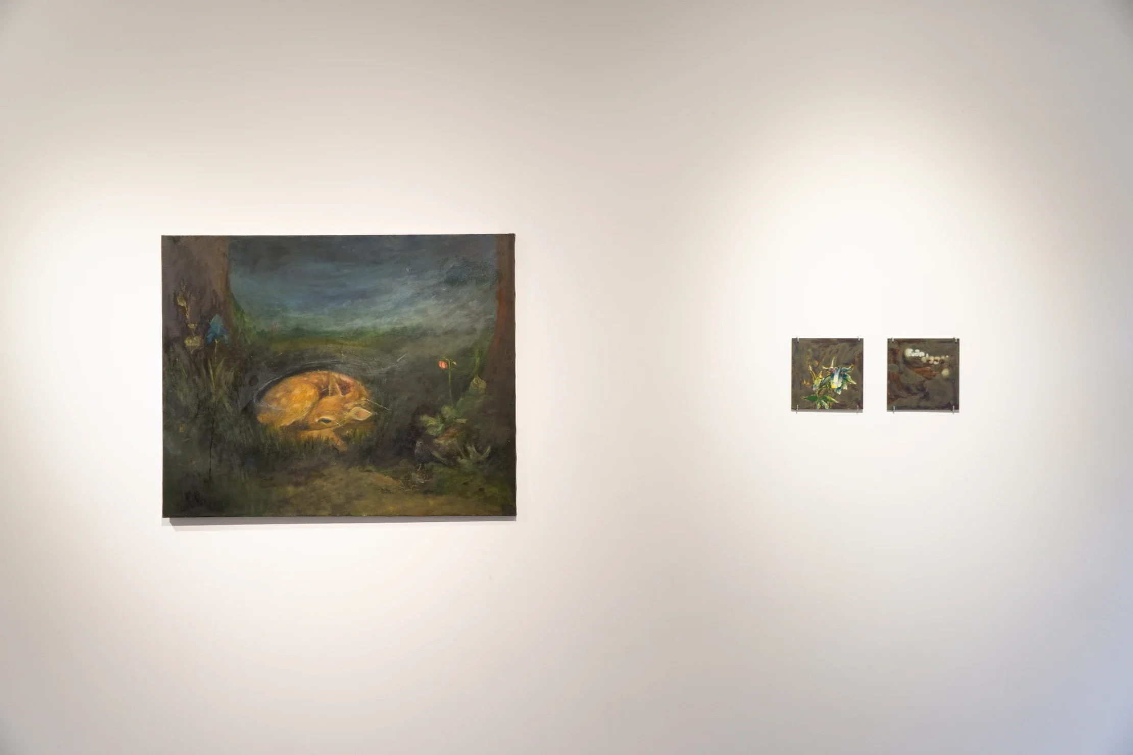 shveli da namikrefia.webp