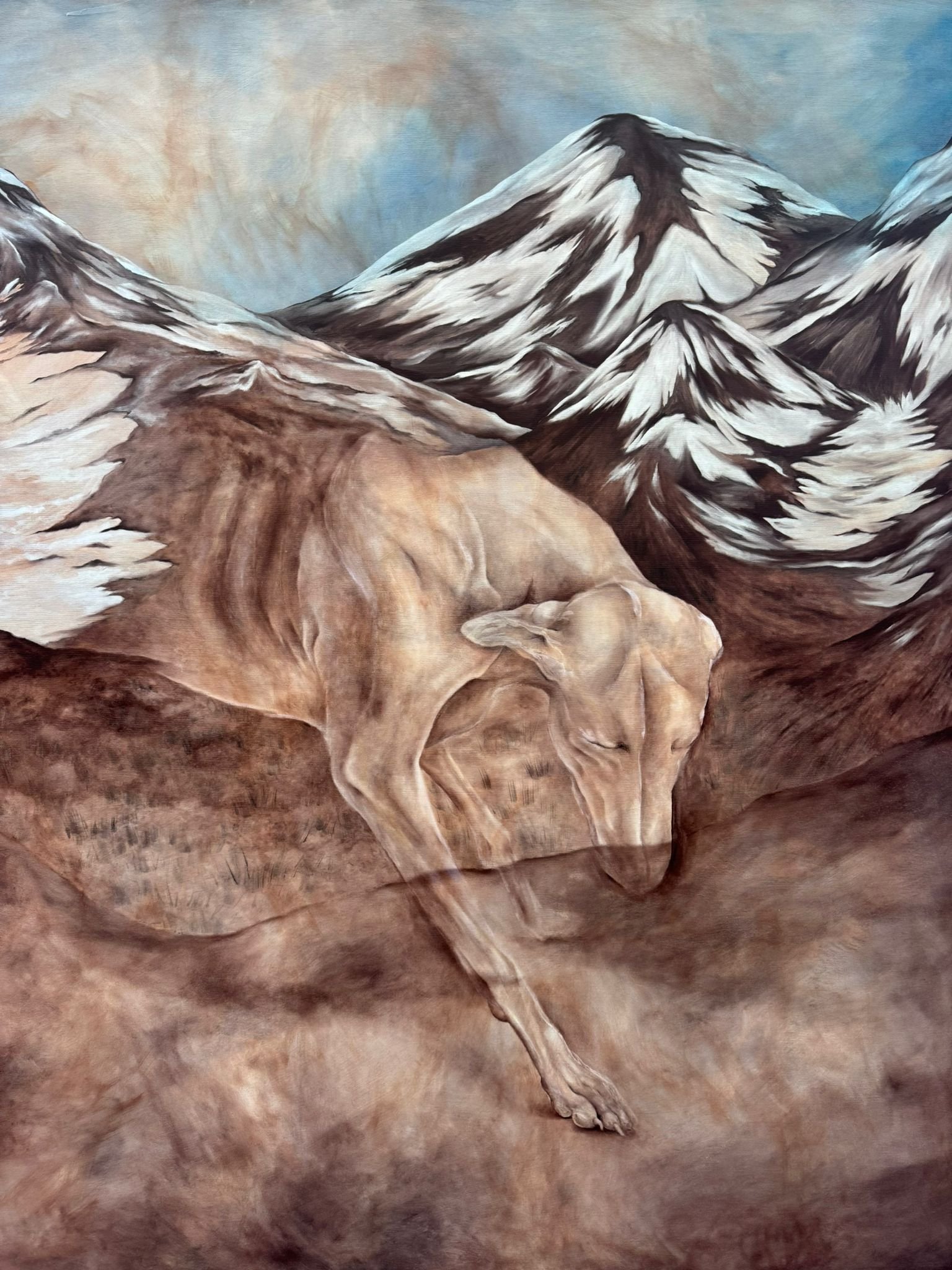 WhatsApp Image 2026-01-17 at 2.22.18 PM (2).jpeg