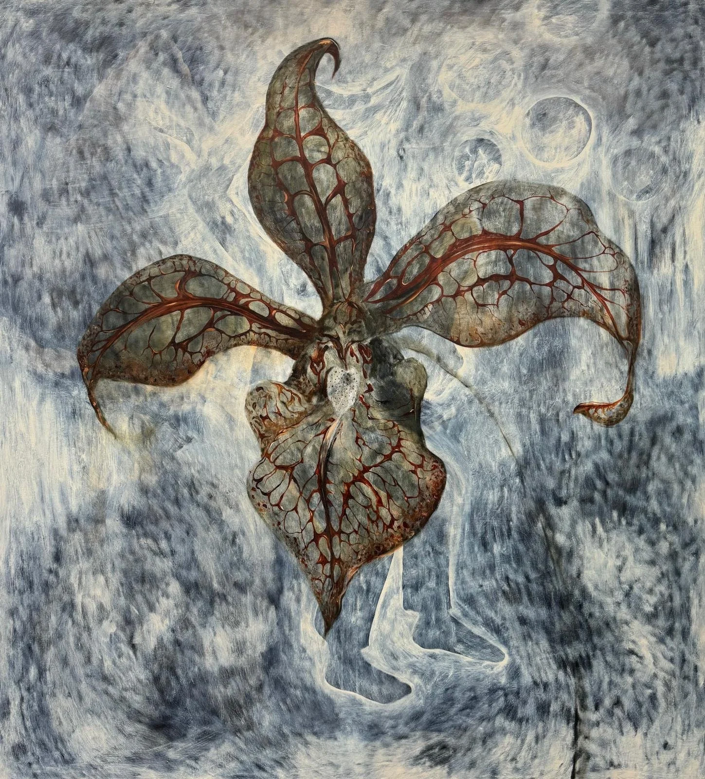 WhatsApp Image 2025-10-29 at 5.38.25 PM.jpeg