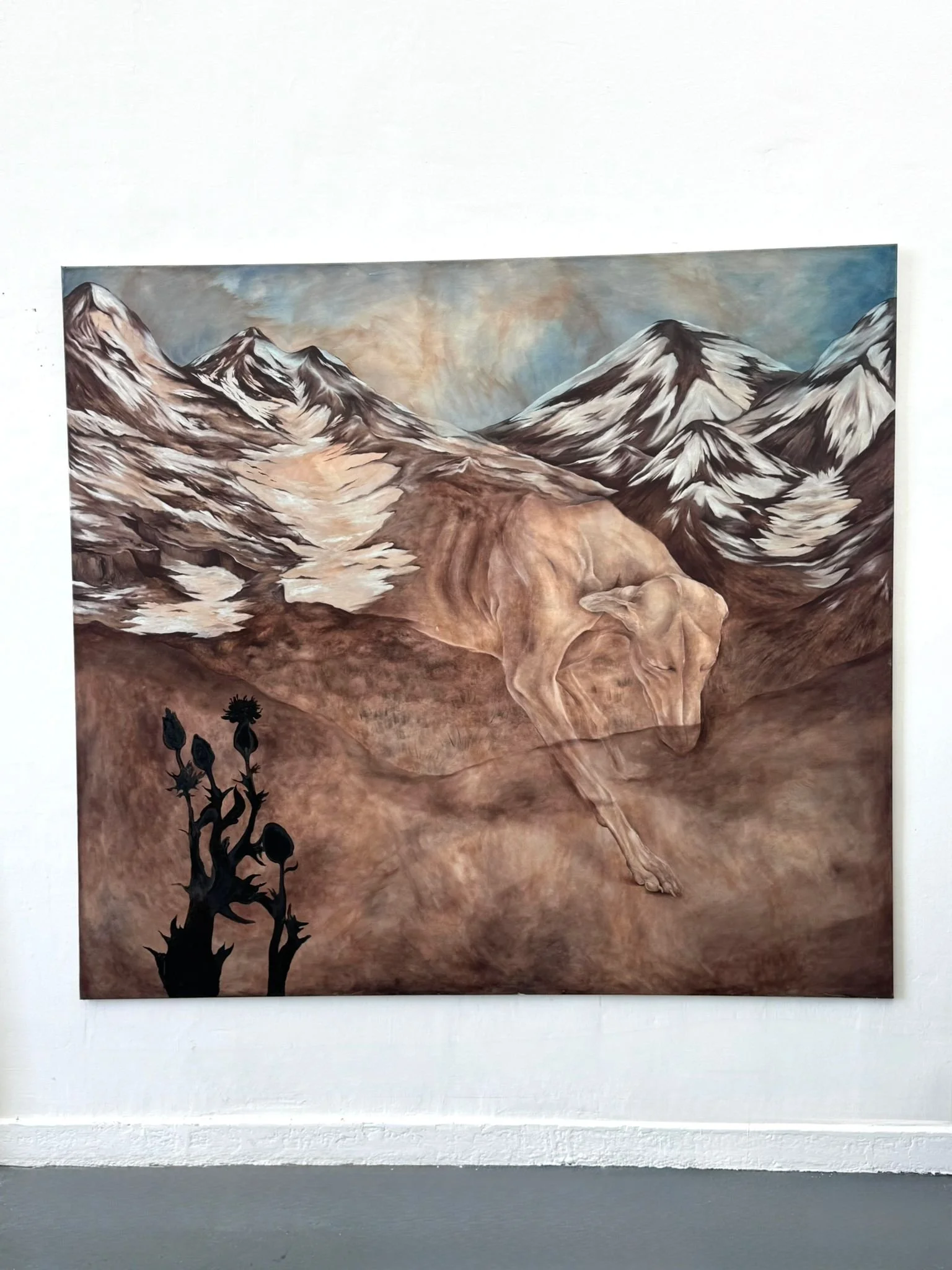 WhatsApp Image 2026-01-17 at 2.22.18 PM.jpeg