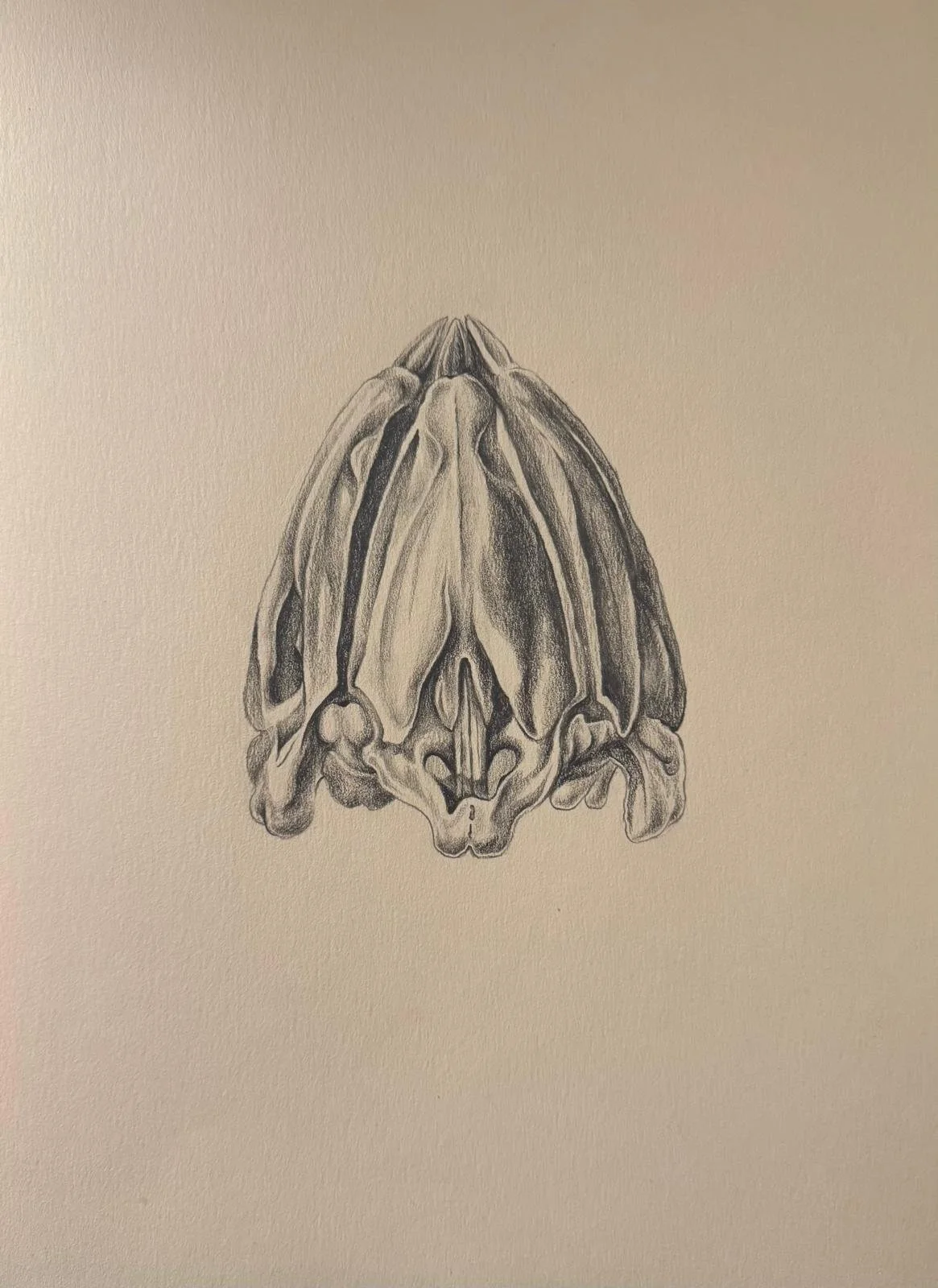 WhatsApp Image 2025-10-29 at 5.40.16 PM.jpeg