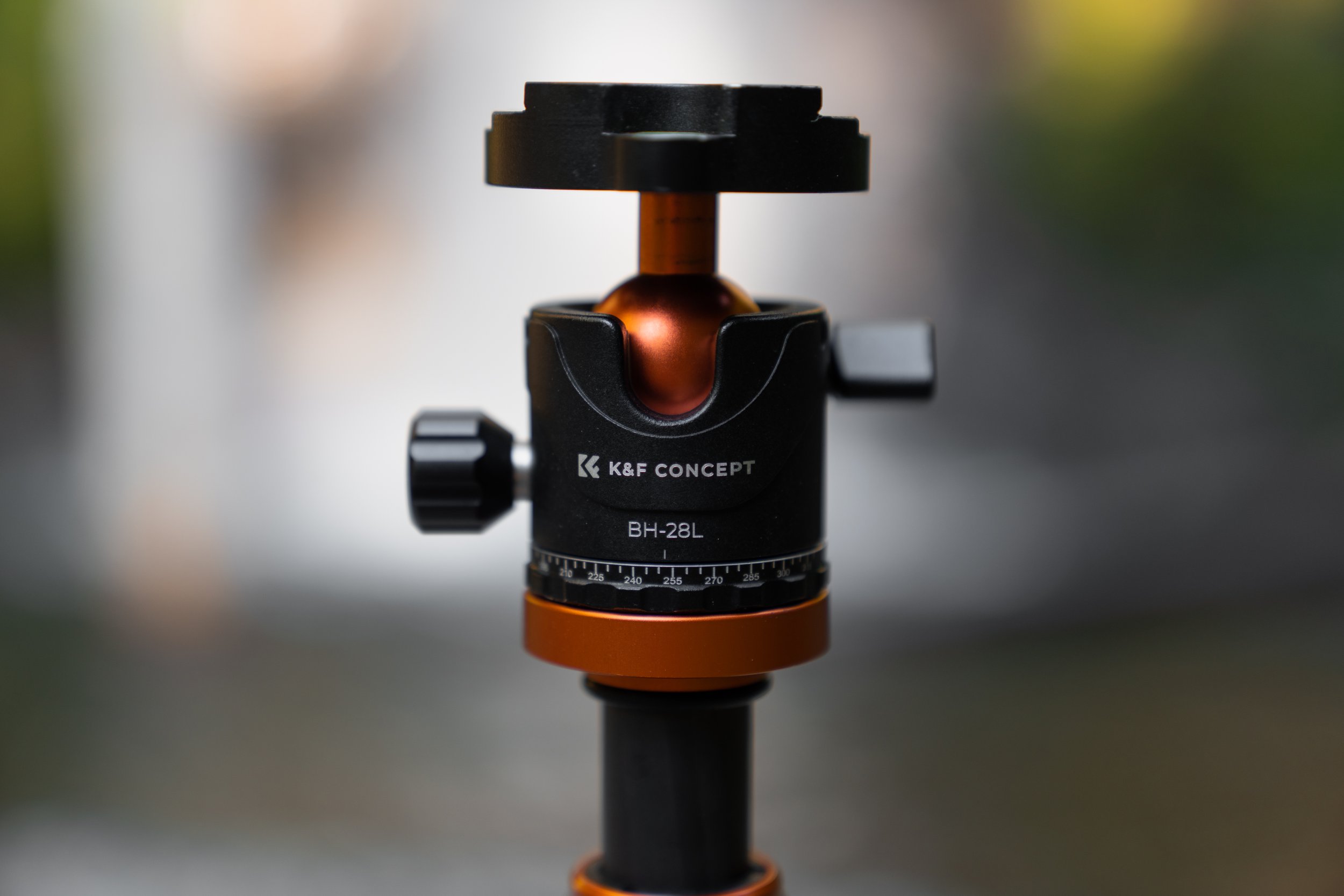 KF Concept-8.jpg