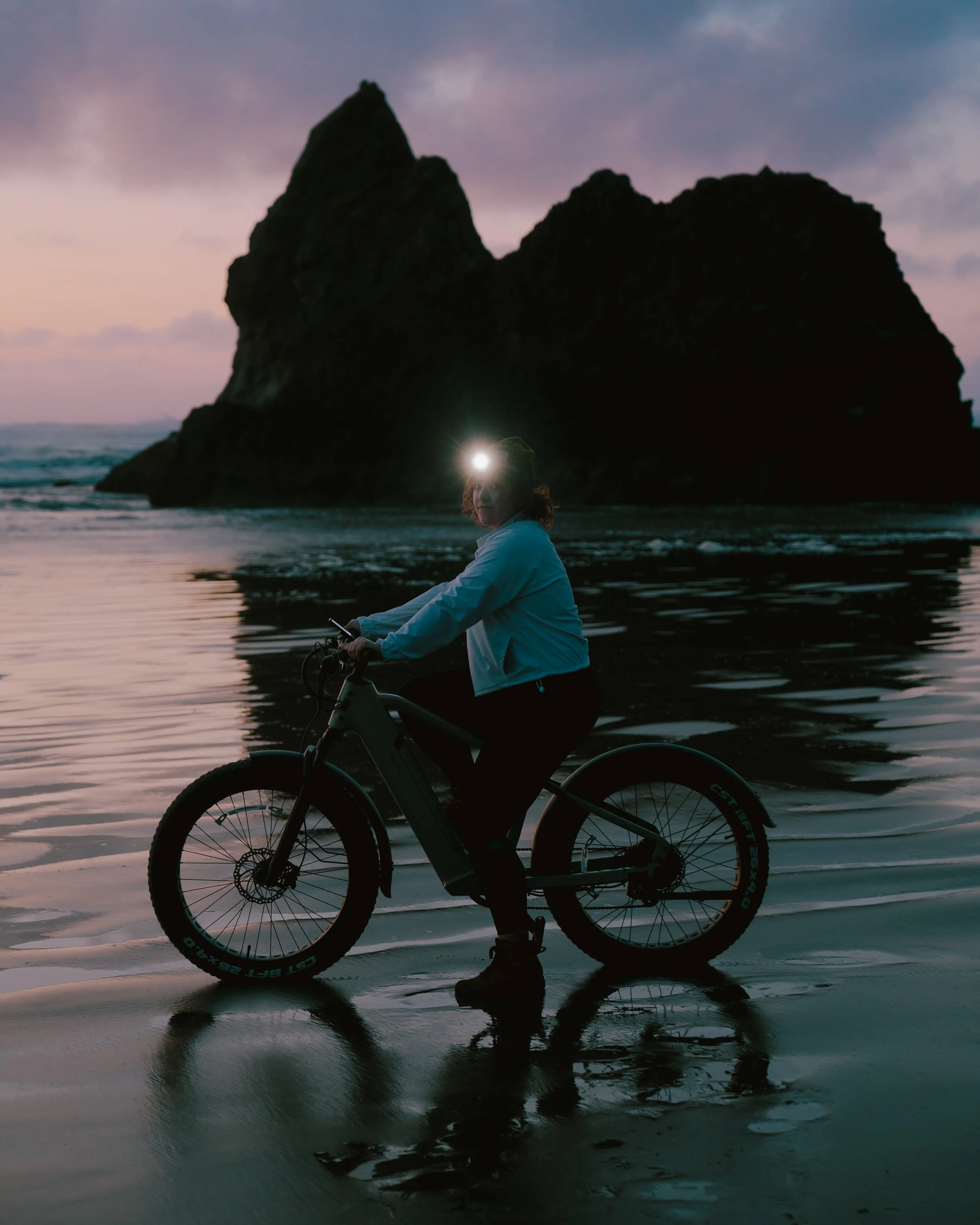 velotric-10.jpg
