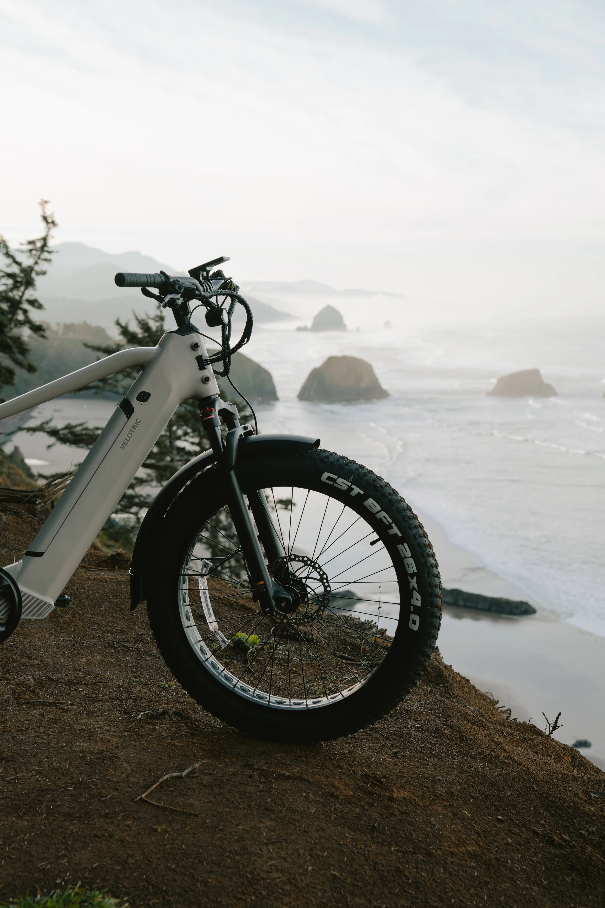 velotric-4.jpg