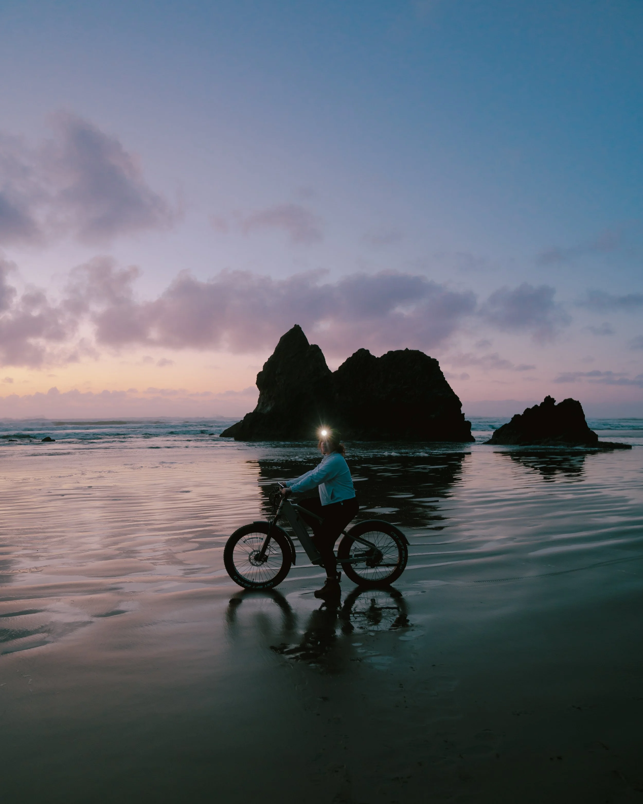 velotric-9.jpg