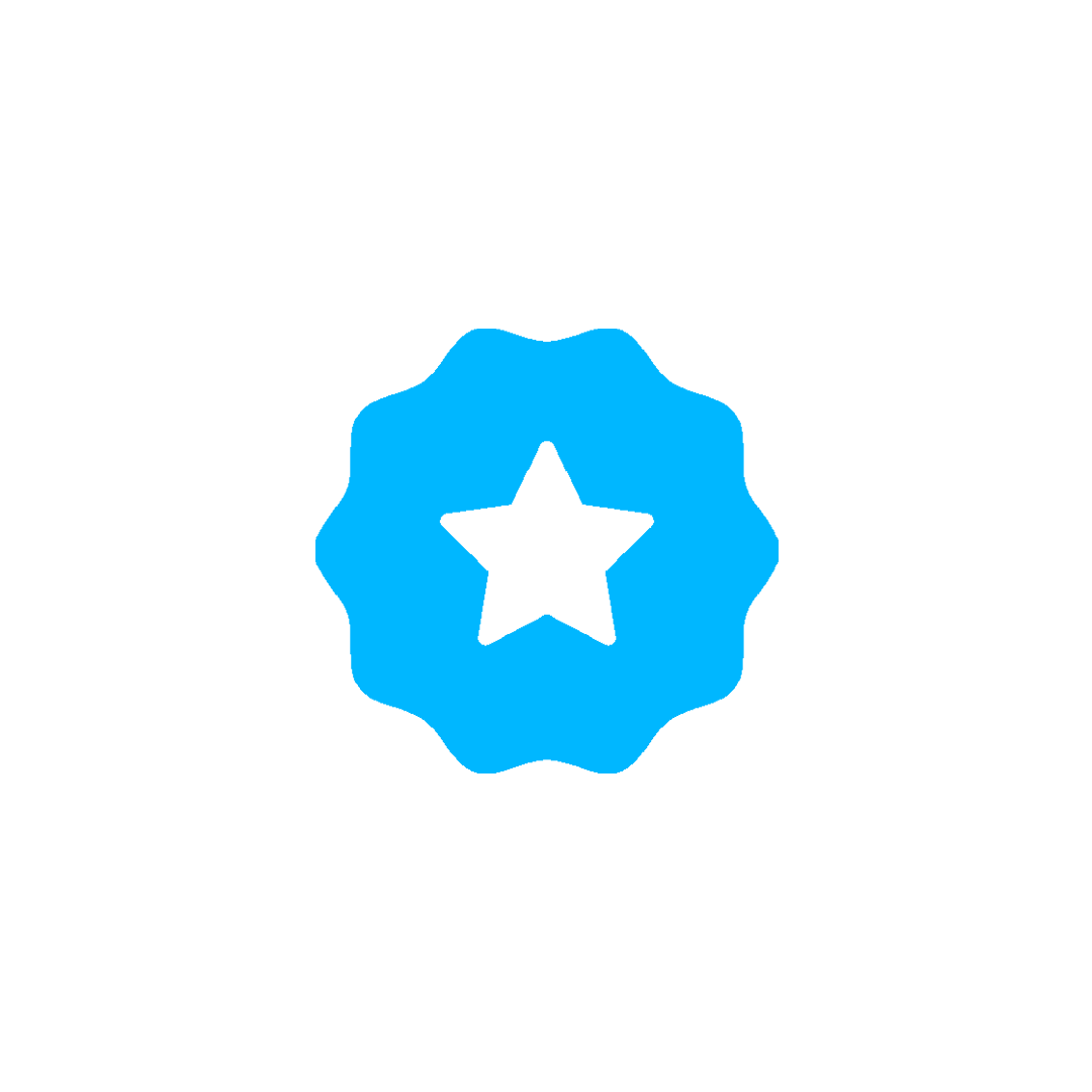 Eine Auszeichnung oder Abzeichen mit einem blauen Stern in der Mitte, umgeben von einer blauen wabenförmigen Form.