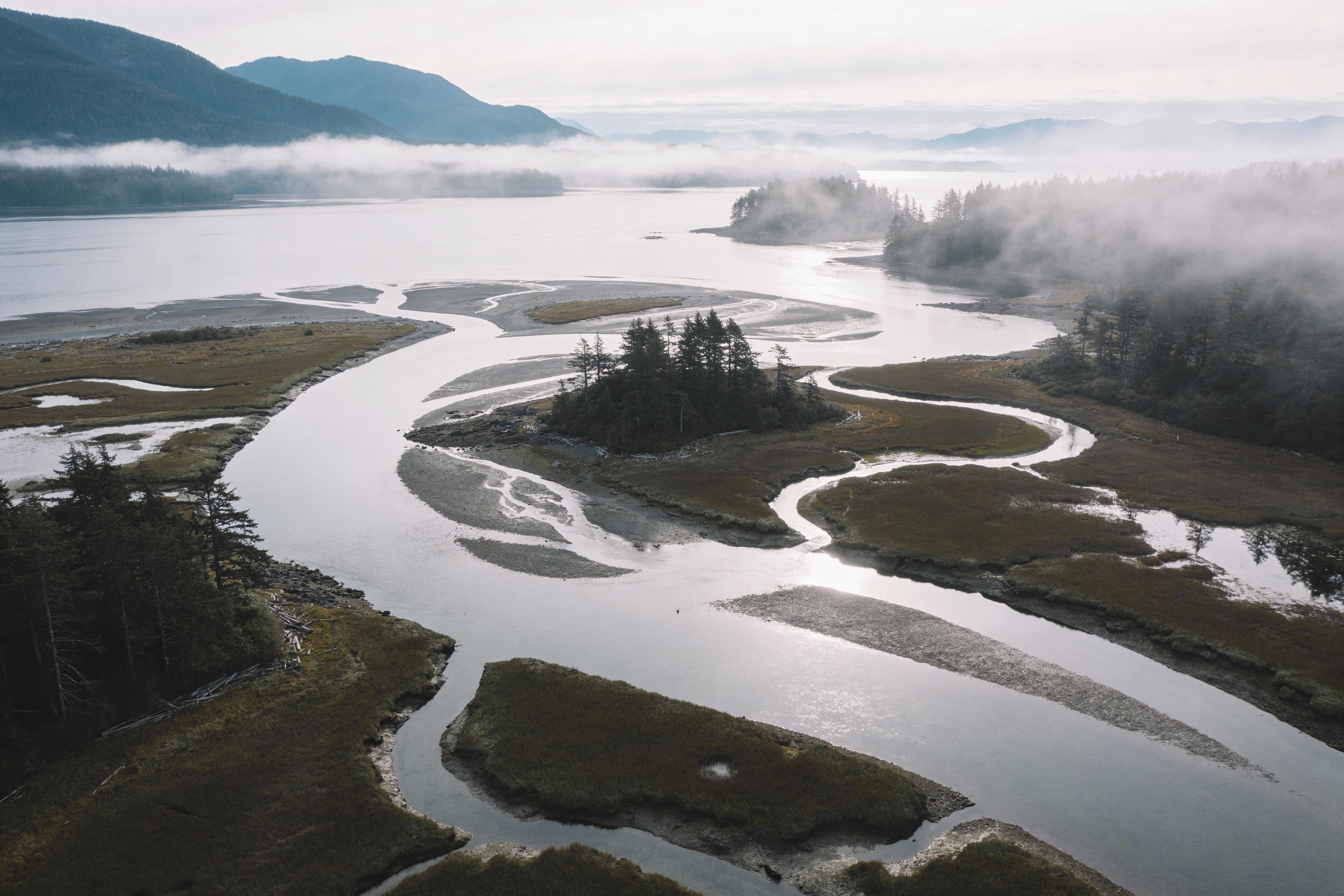 an estuary filled with fog, on northern Vancouver island