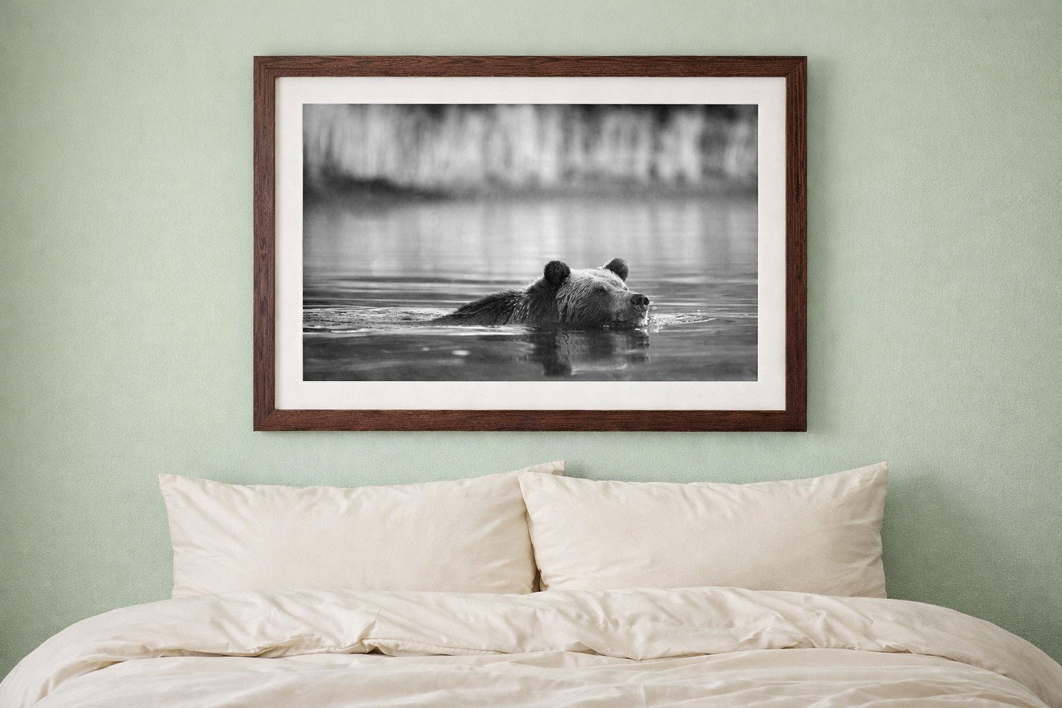 A grizzly bear swimming through dark water in British Columbia, captured in black and white. The bear's head and upper body are visible above the surface, with water rippling around it.