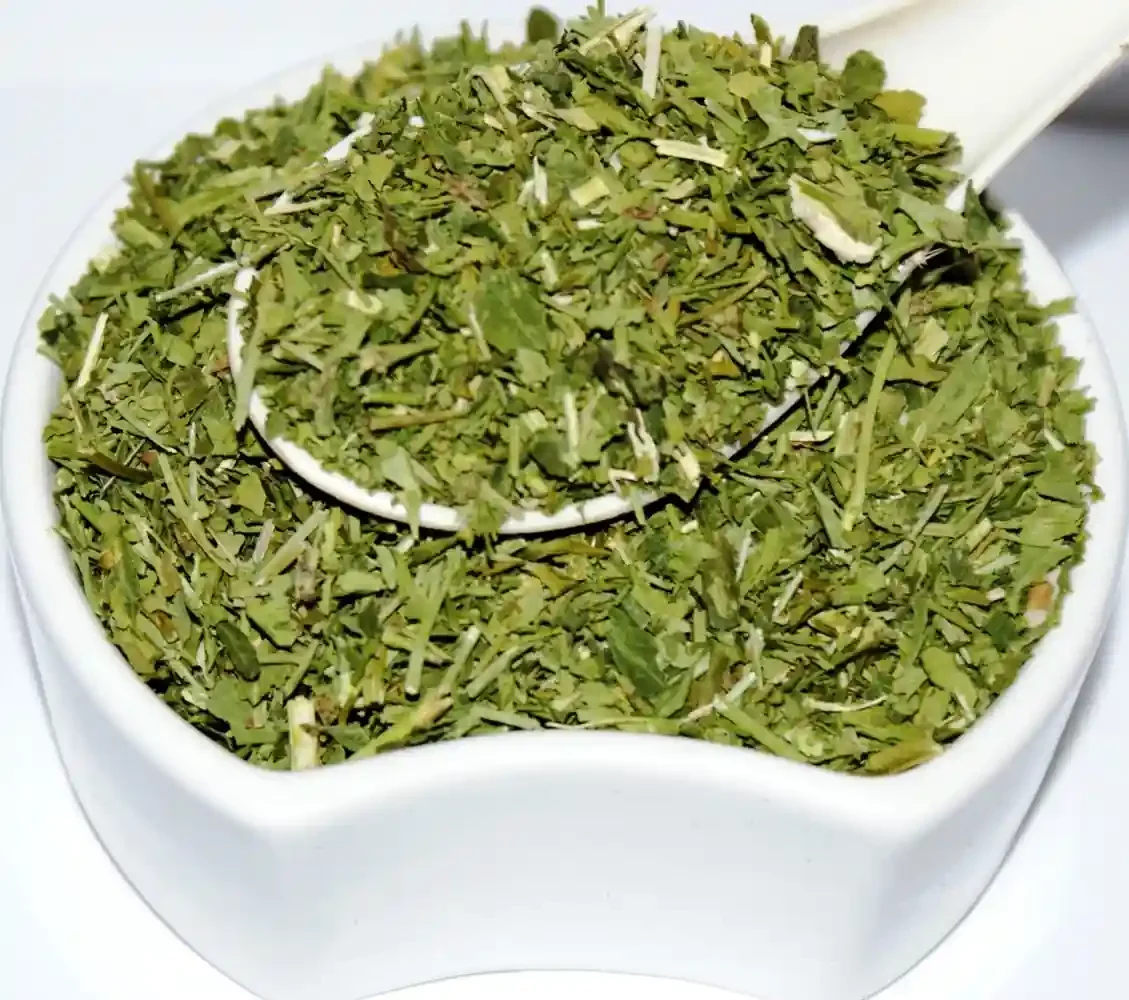 Aromatic-Rue-Herb-Fragrance-Shot.webp