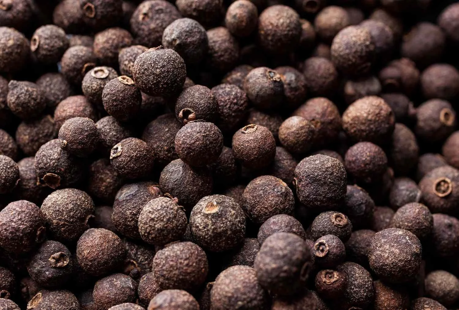 What-is-allspice-FT-BLOG0724-3cc833a96b31486991f96dfde7c4ae95.jpg