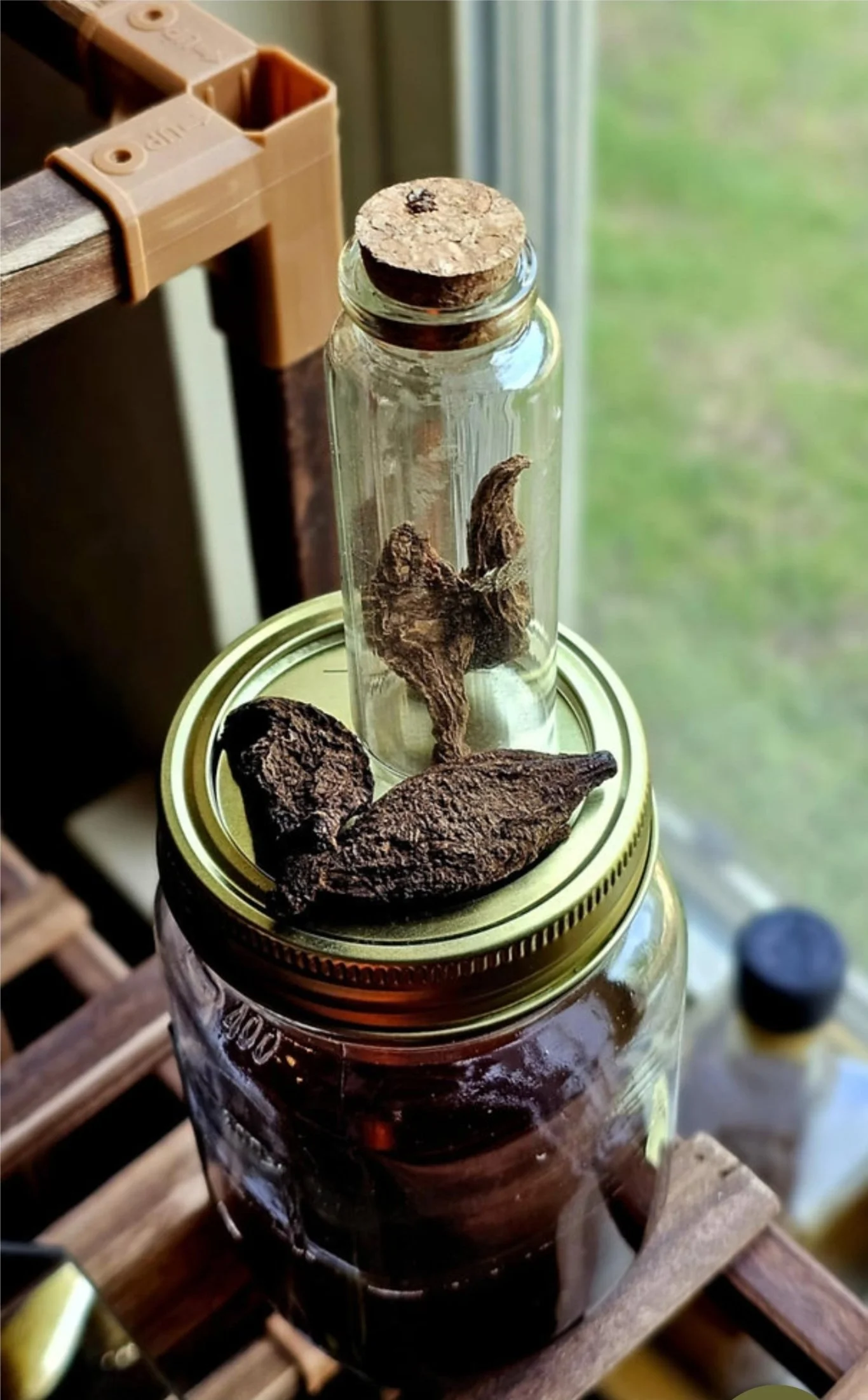 High John the Conqueror Root – per root