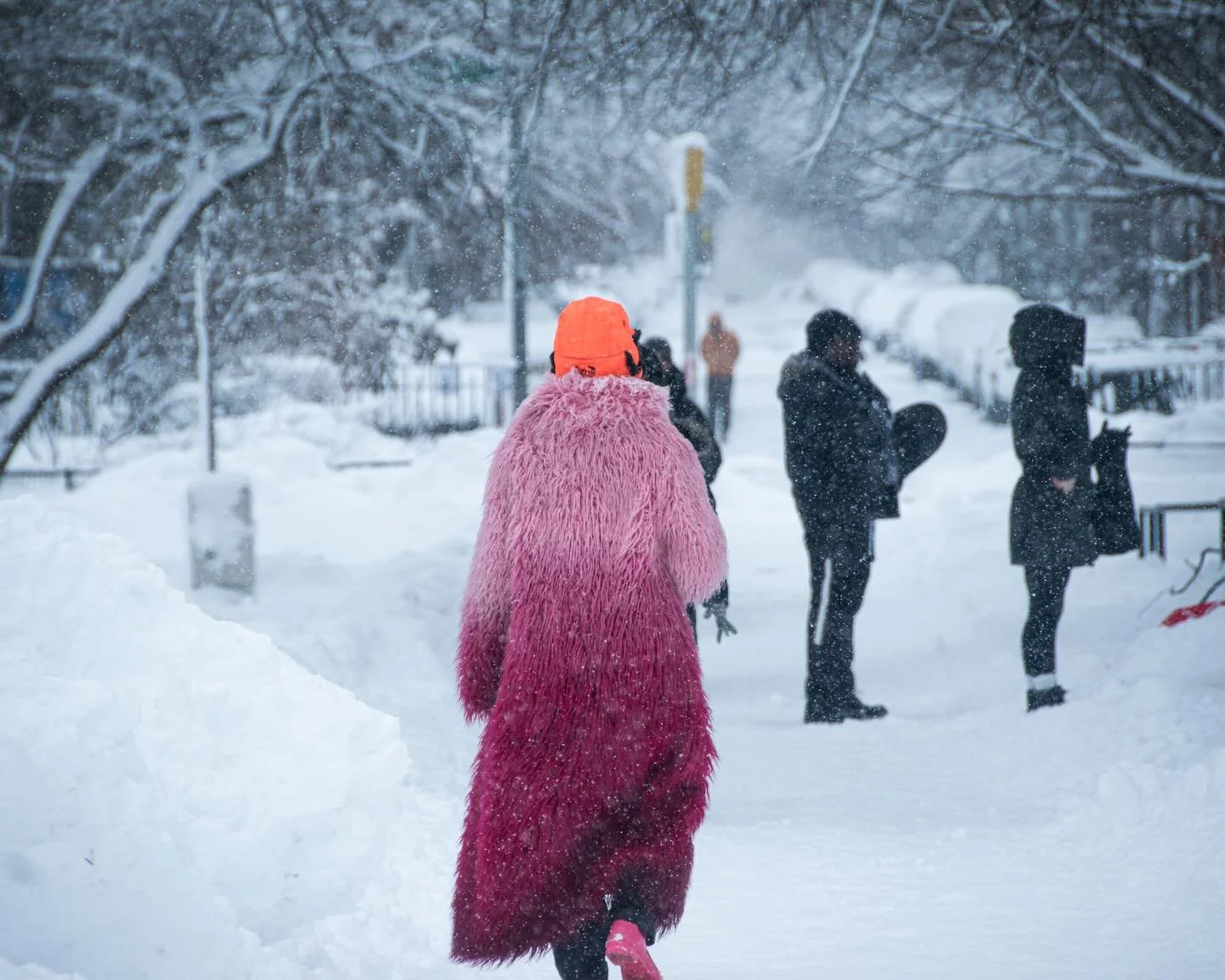 Bed-Stuy residents reacted in many different ways to Monday&rsquo;s blizzard.
