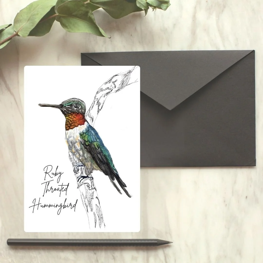 Sitting Ruby Throated Hummingbird Greeting Card