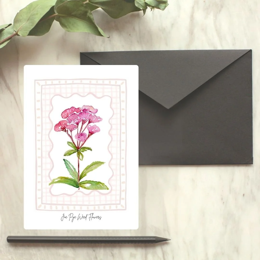 Joe Pye Weed Wildflower Card