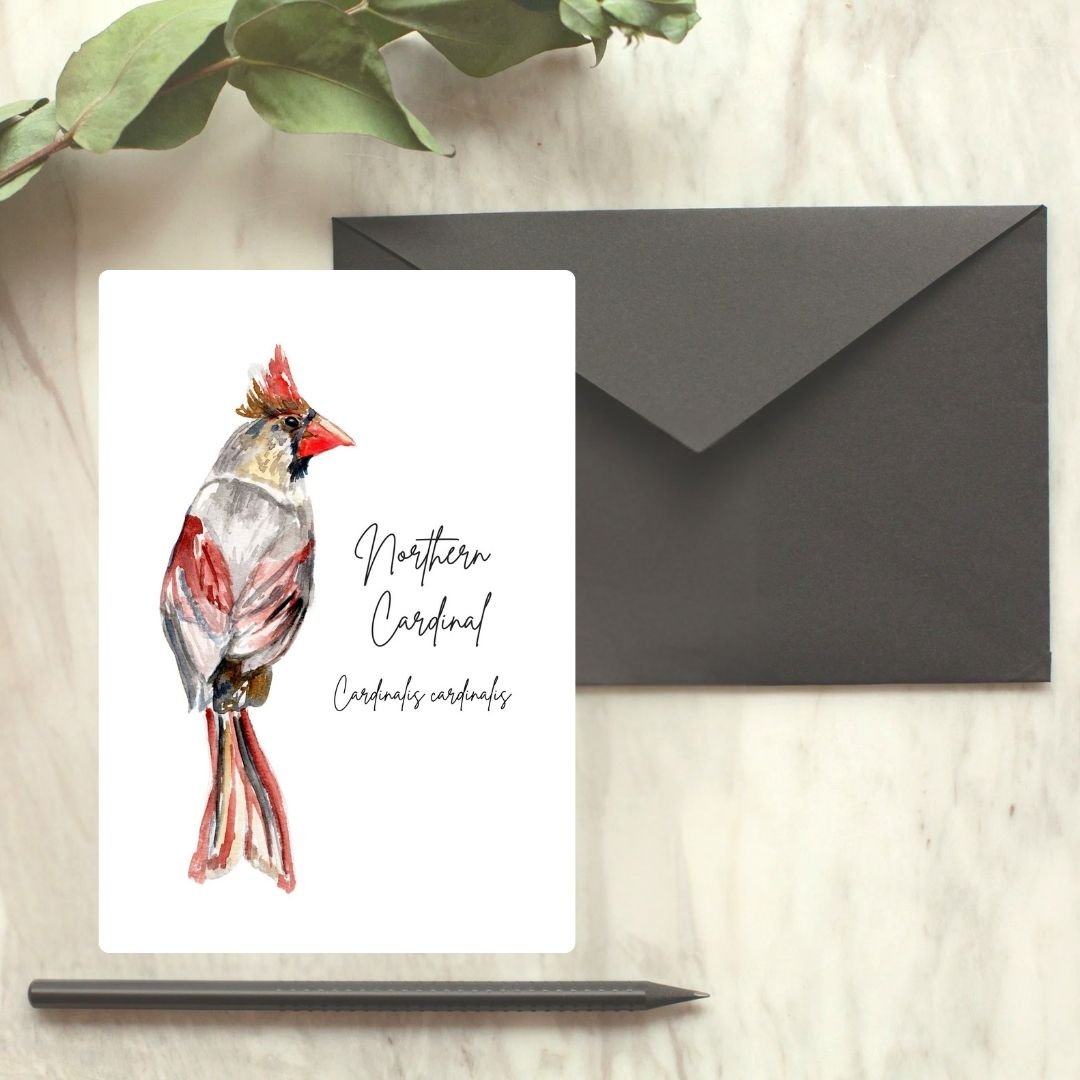 Cardinal Greeting Card