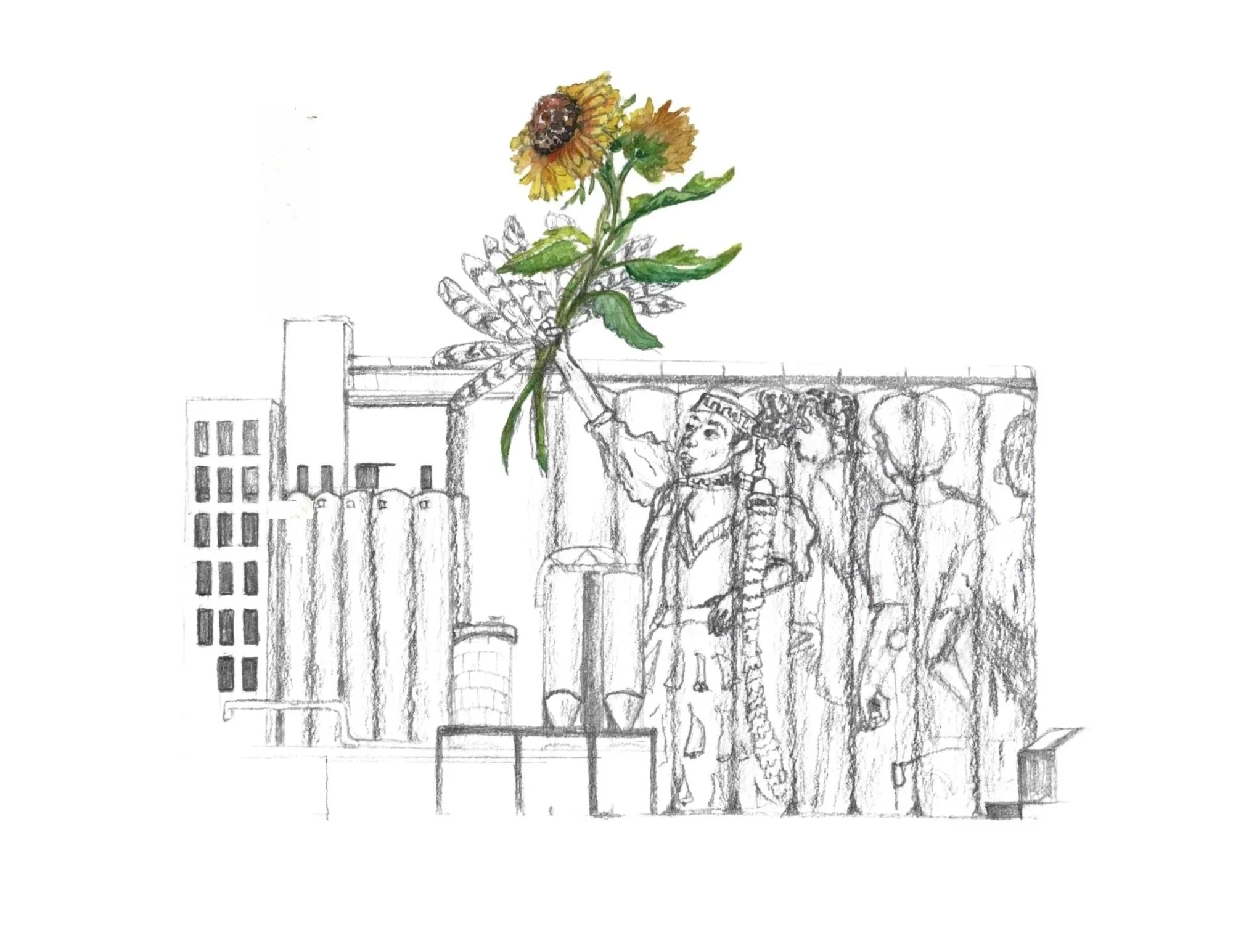 Mankato, Minnesota 2025