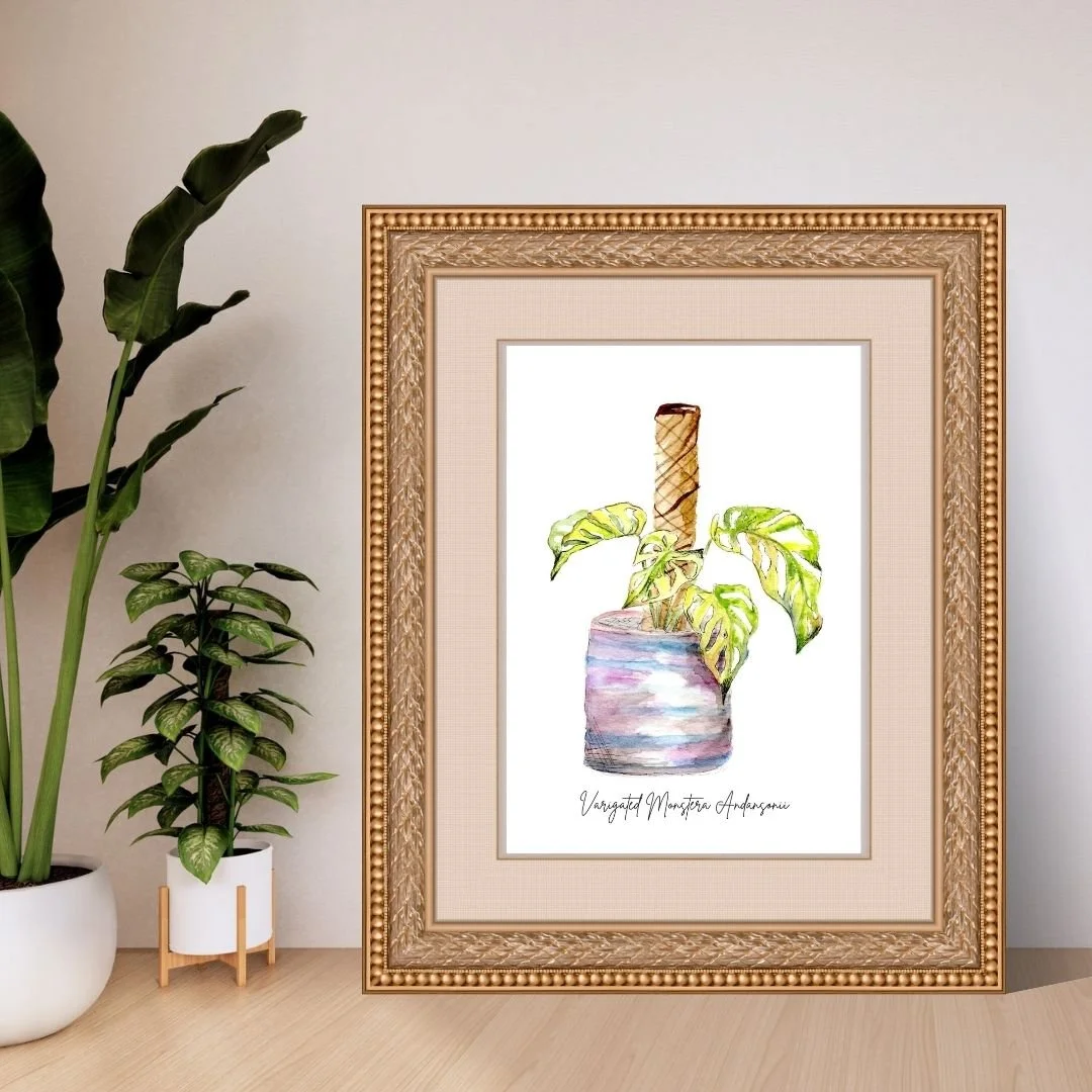 Variegated Monstera Adansonii Print