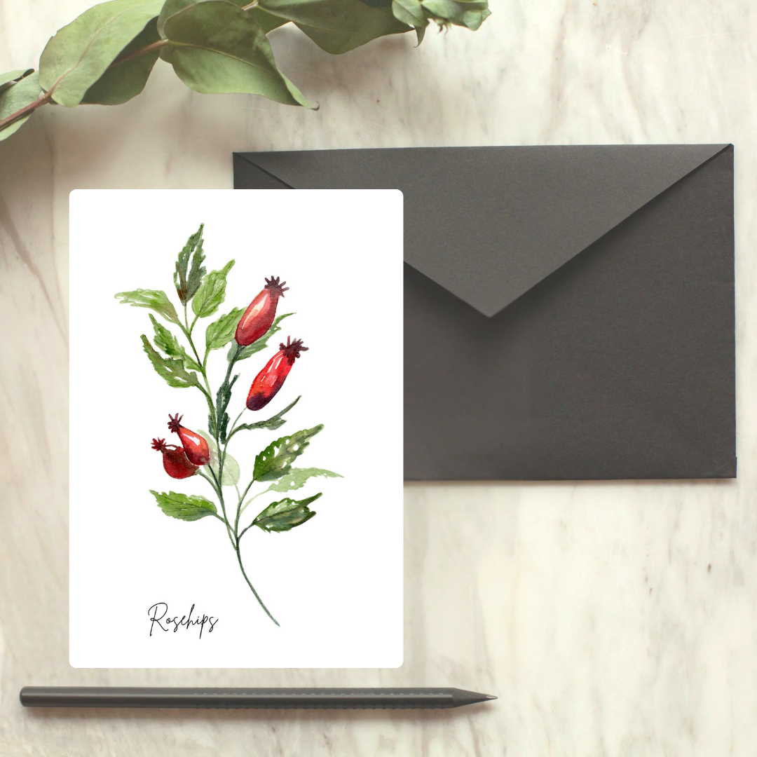 Rosehips Greeting Card
