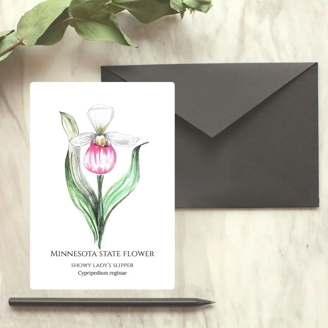 Showy Lady's Slipper - Minnesota State Flower Greeting Card