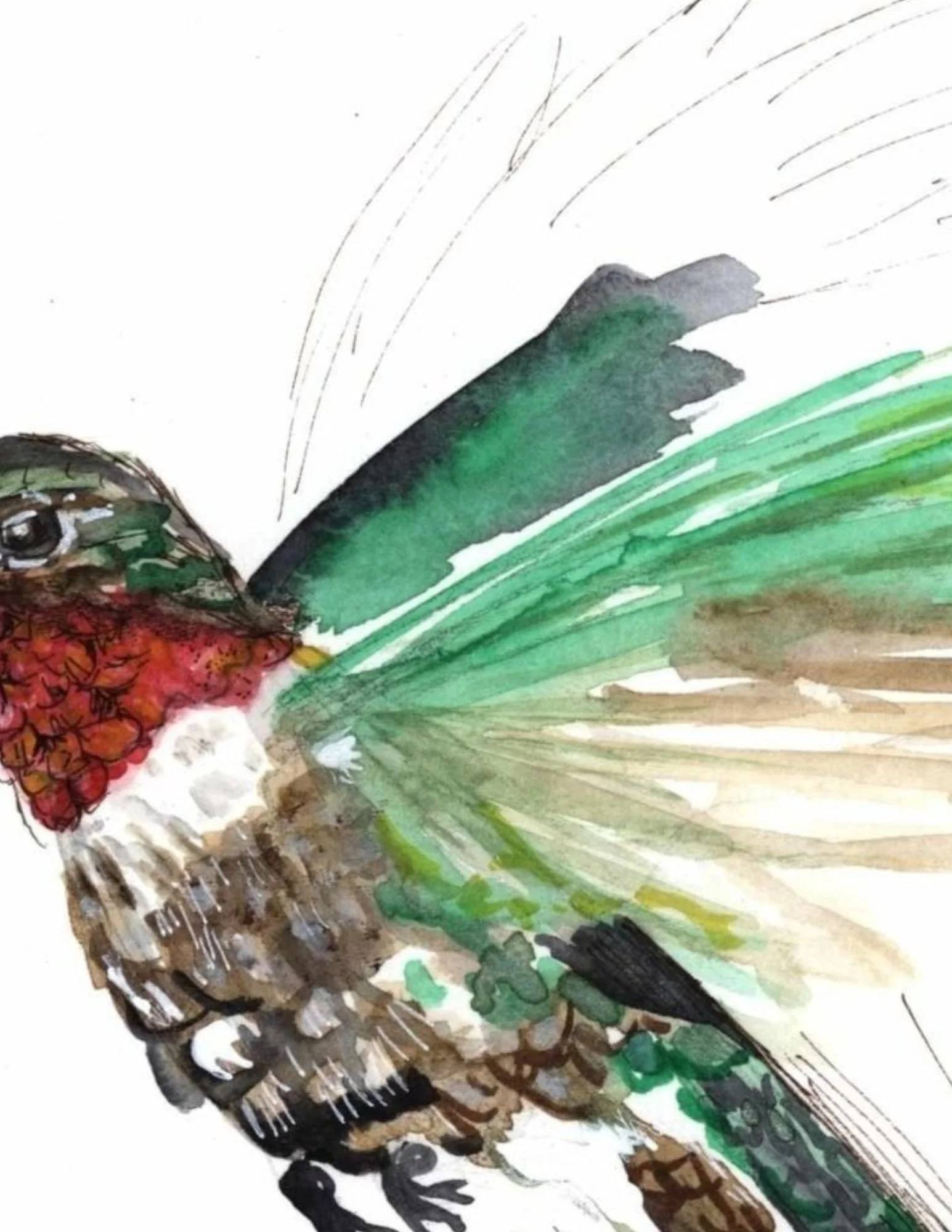 _Zoom In template copy.jpg