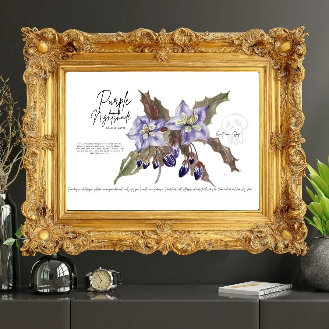 Poisonous Plant- Purple Nightshade