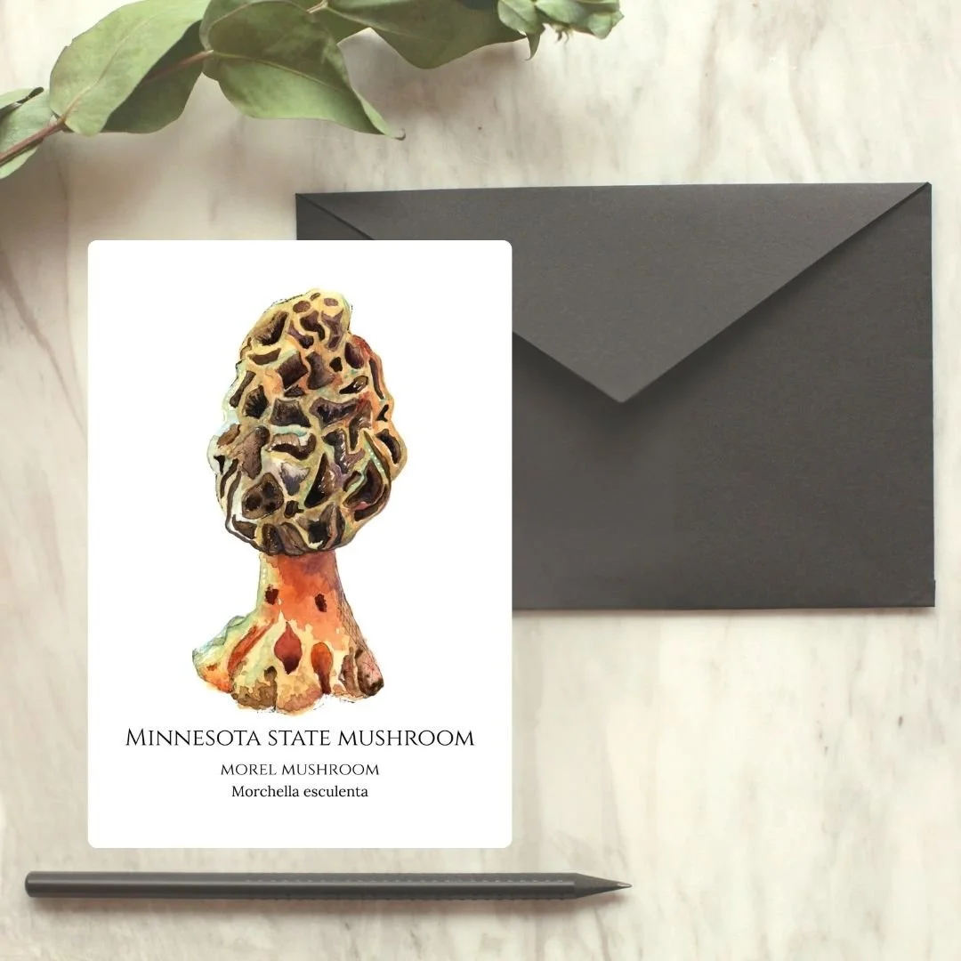 Morel - Minnesota State Mushroom Greeting Card