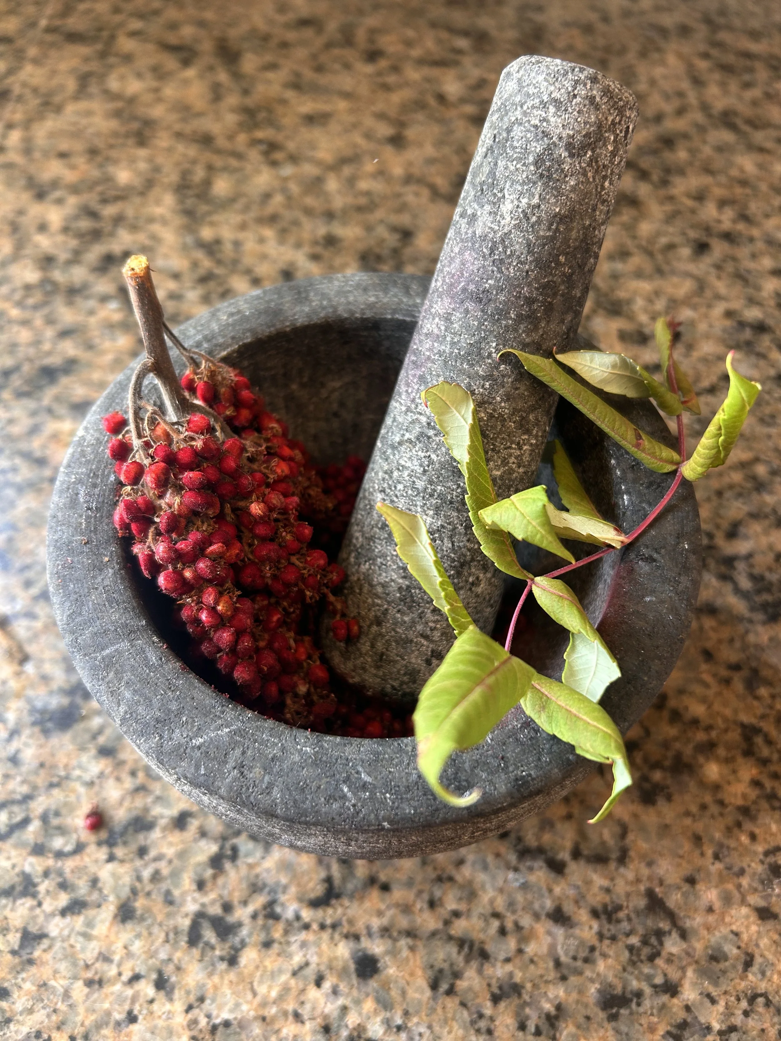 Did you know that Native American tribes have used Staghorn Sumac (red berrries pictured above) as both a dye and food source? 