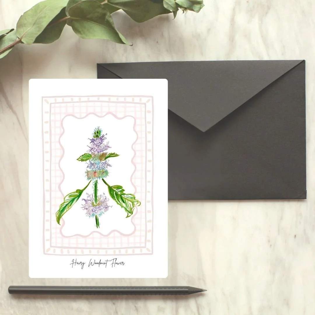 Hairy Woodmint Wildflower Card
