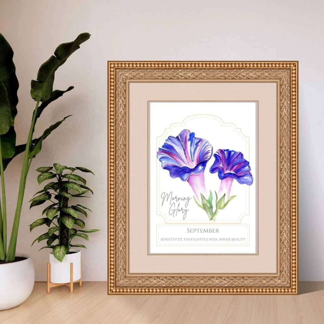 Birth Flower - September - Morning Glory