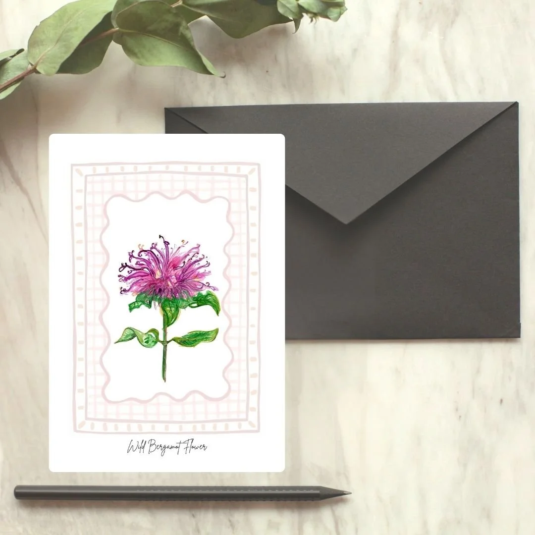 Wild Bergamot Wildflower Card