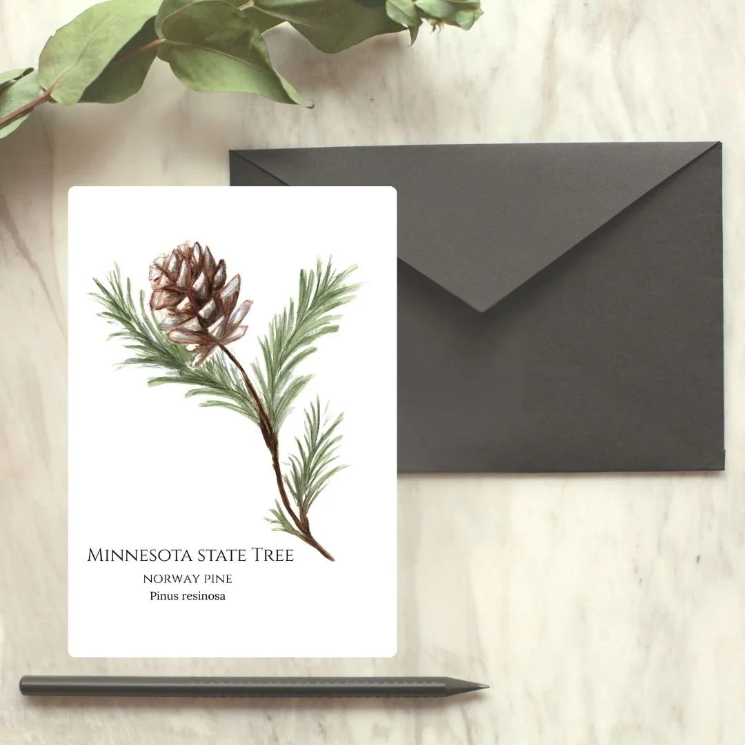 Norway Pine - Minnesota State Tree Greeting Card