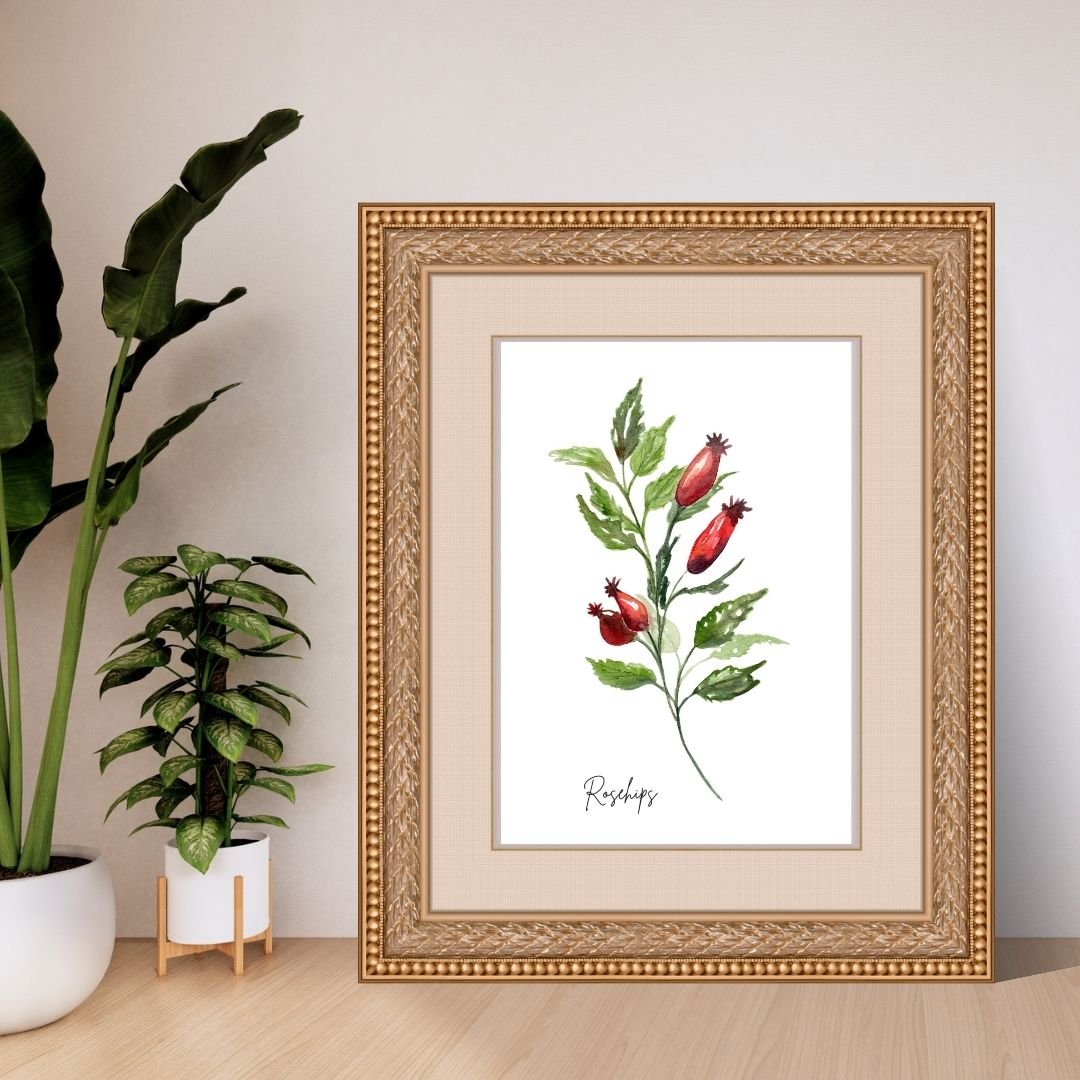 Rose Hip Print