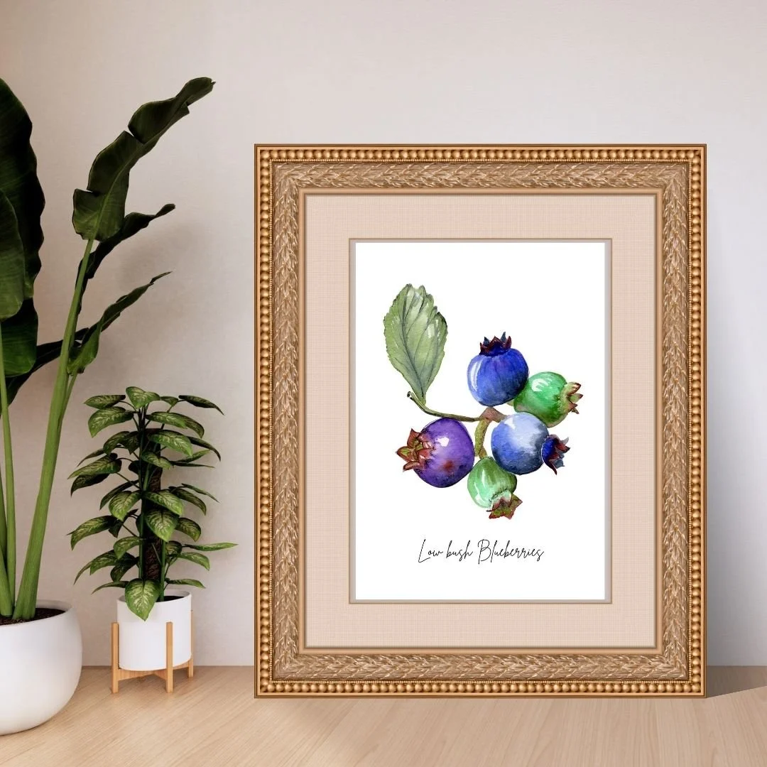 Low Bush Blueberry Print
