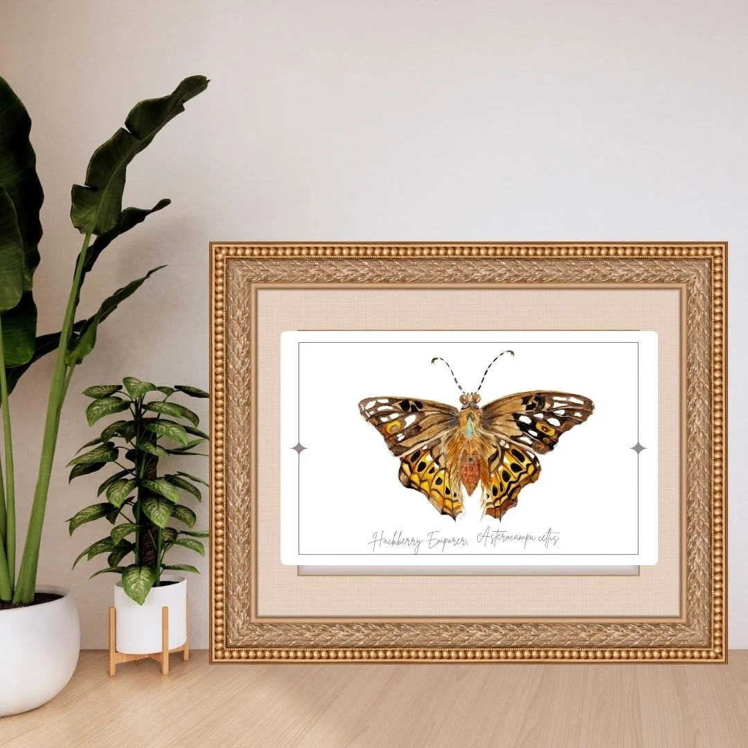 Hackberry Emperor - Asterocampa celtis Butterfly Print