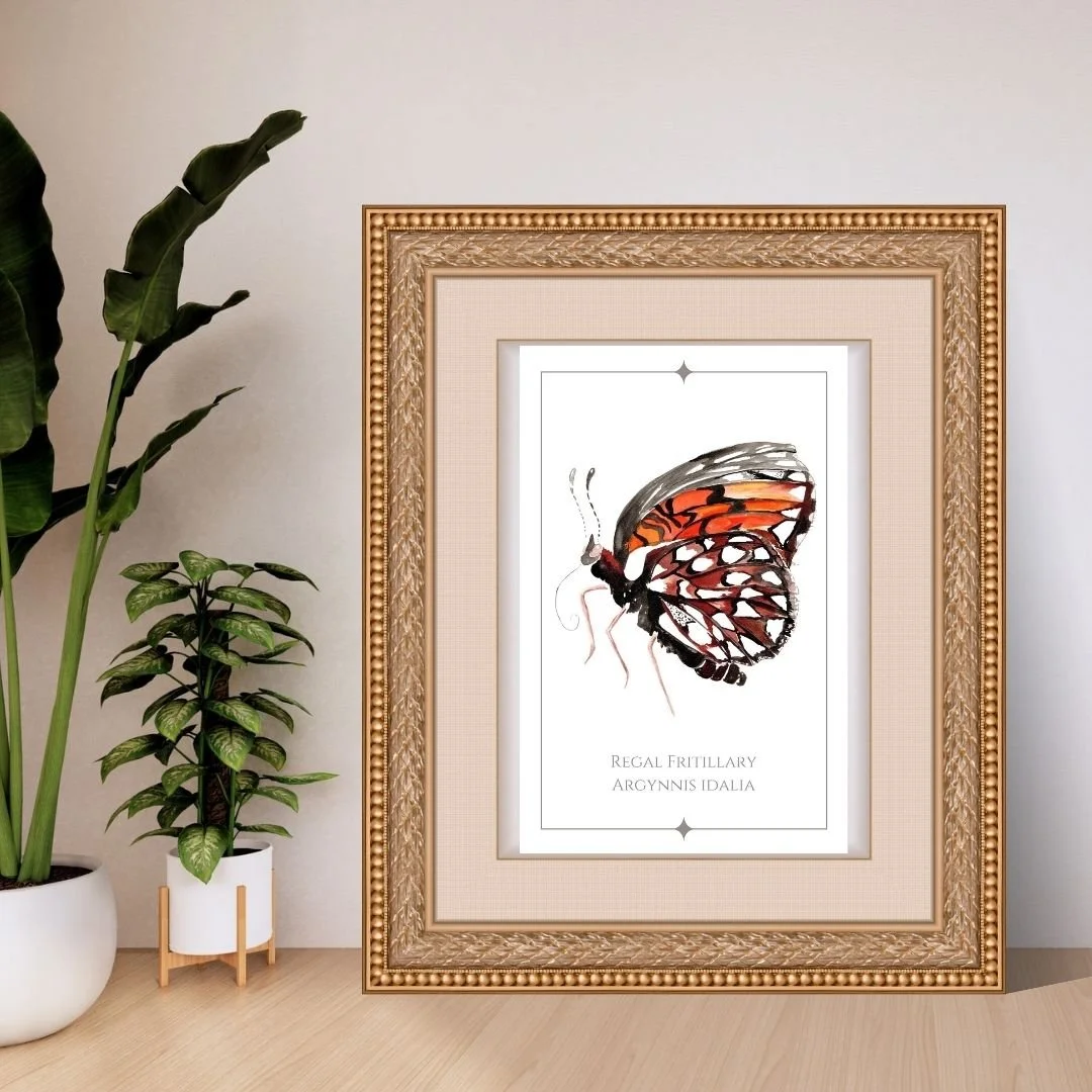 Regal Fritillary - Argynnis idalia Butterfly Print