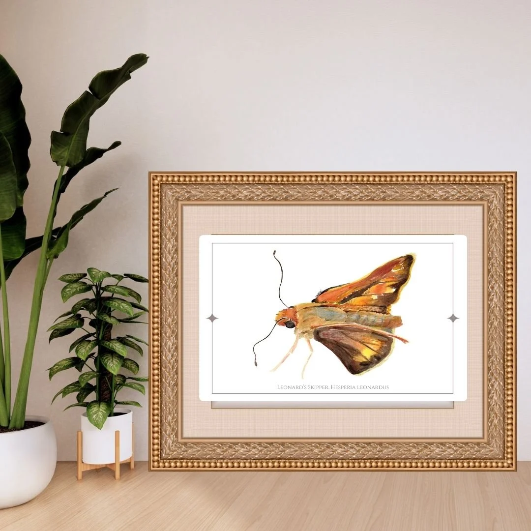 Leonard's Skipper - Hesperia leonardus Butterfly Print