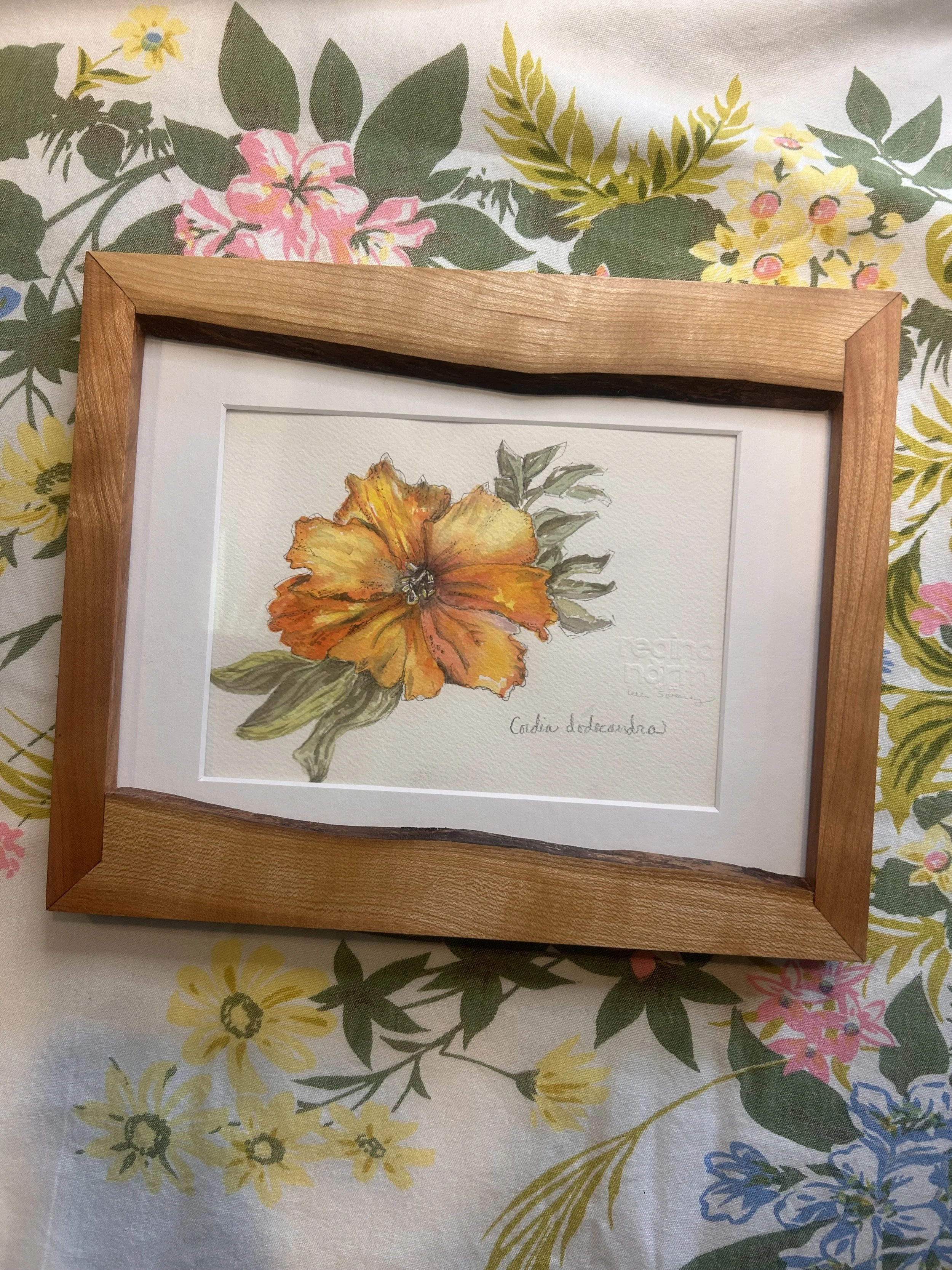 Cordia dodecandra - Original Watercolor with Frame